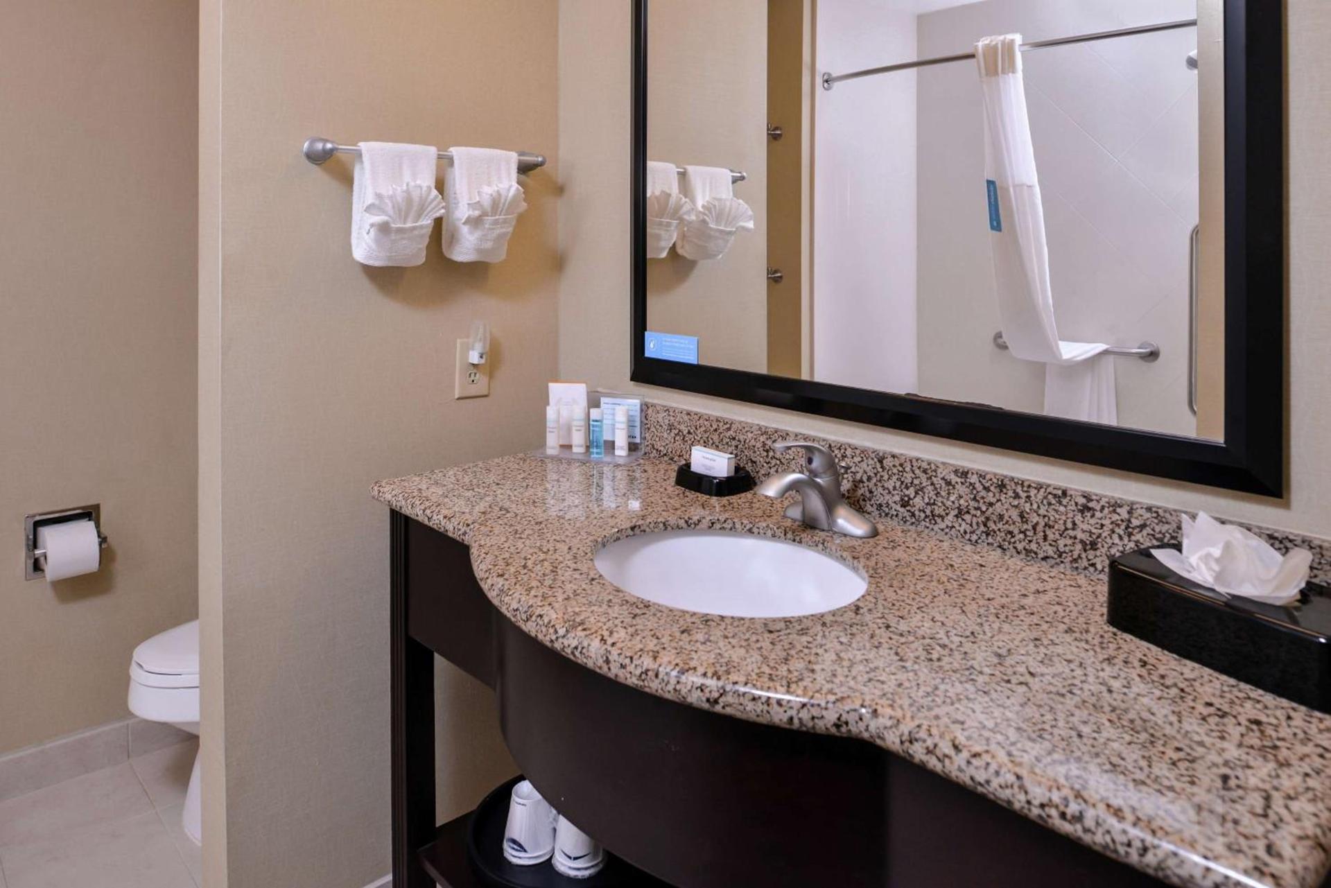 Hampton Inn & Suites Big Spring photo 37