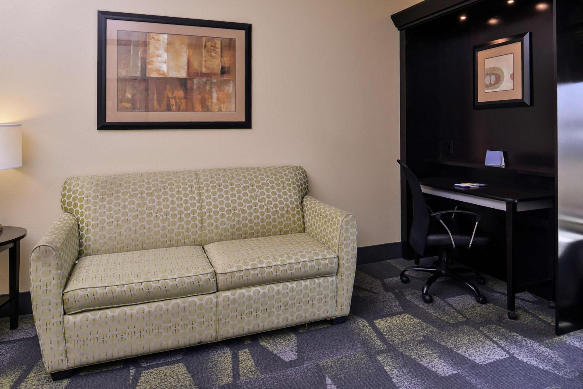 Hampton Inn & Suites Big Spring photo 42