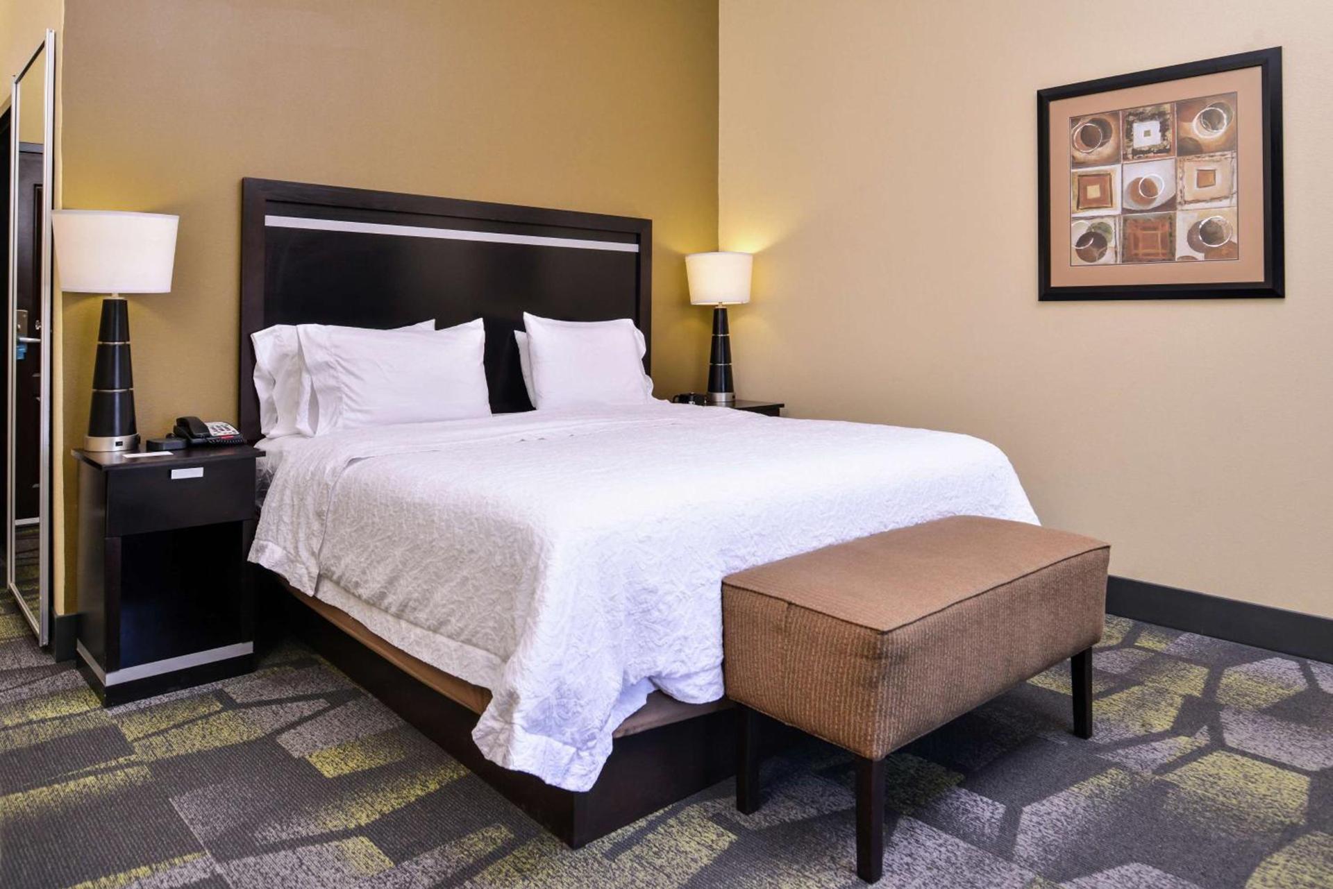 Hampton Inn & Suites Big Spring photo 41