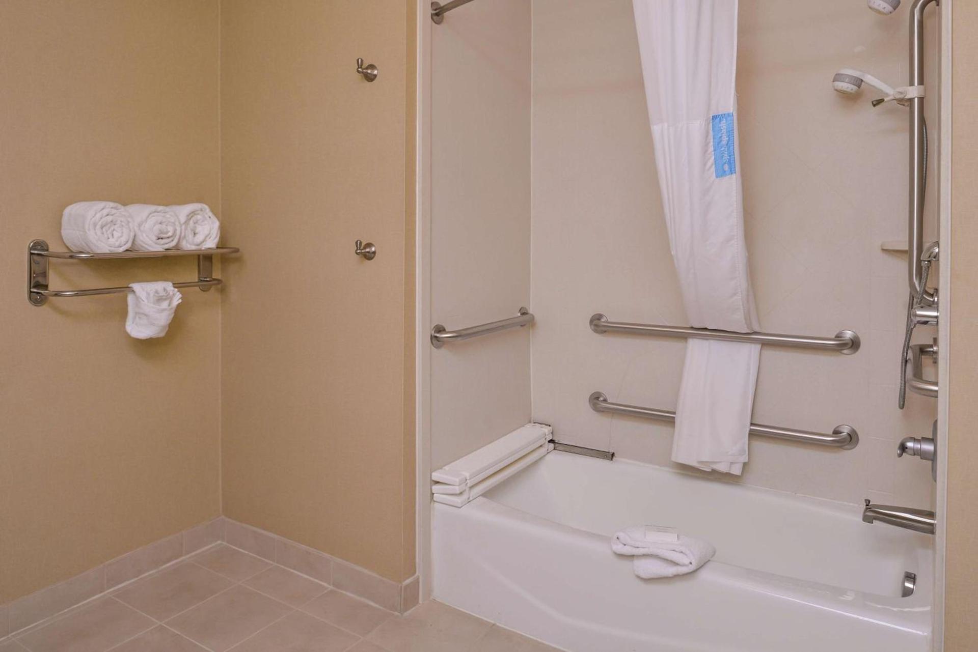 Hampton Inn & Suites Big Spring photo 43
