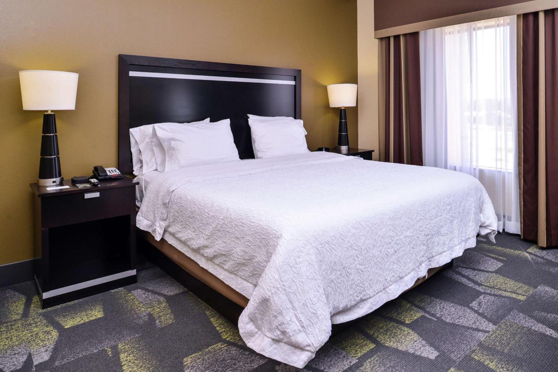 Hampton Inn & Suites Big Spring photo 46
