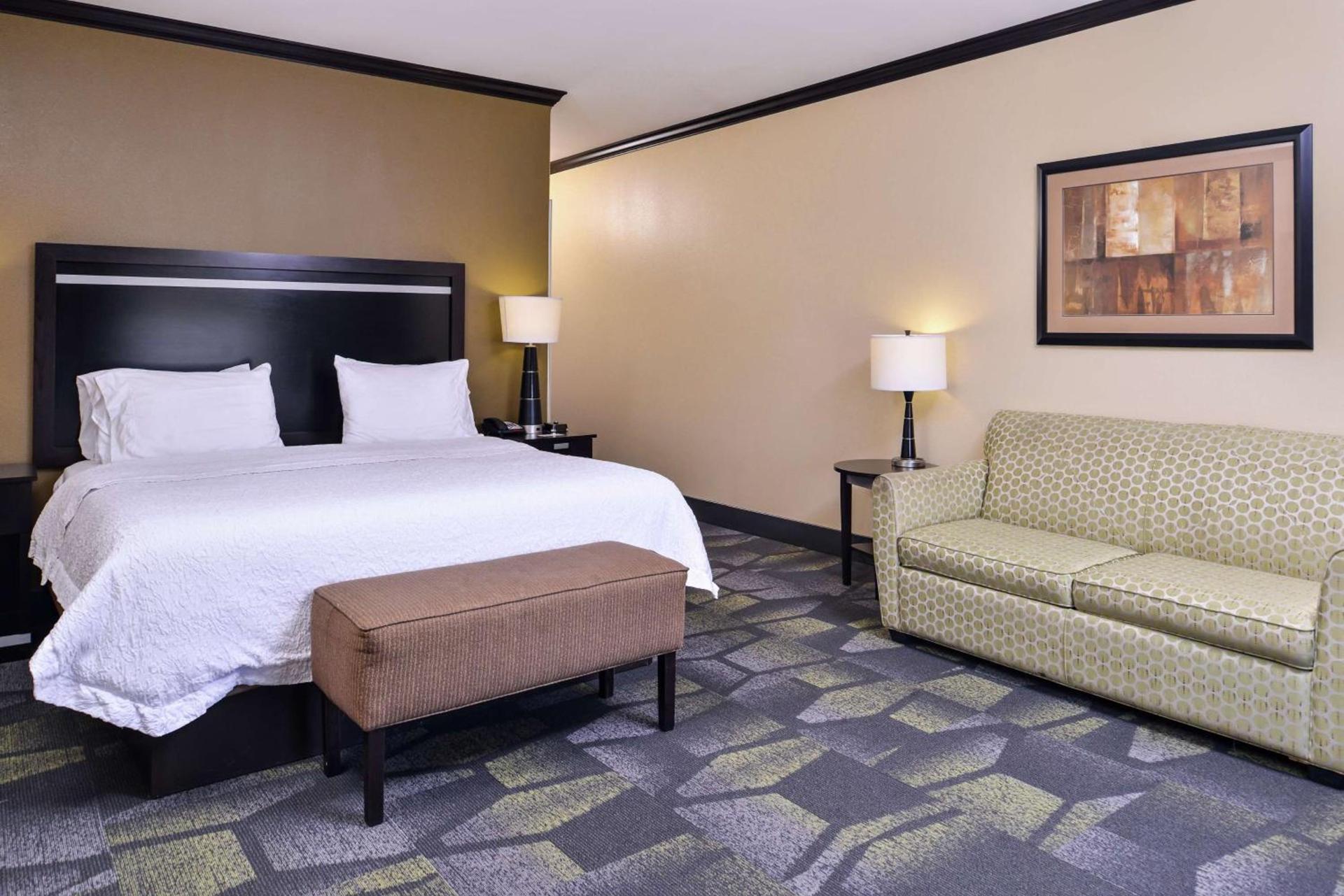 Hampton Inn & Suites Big Spring photo 50