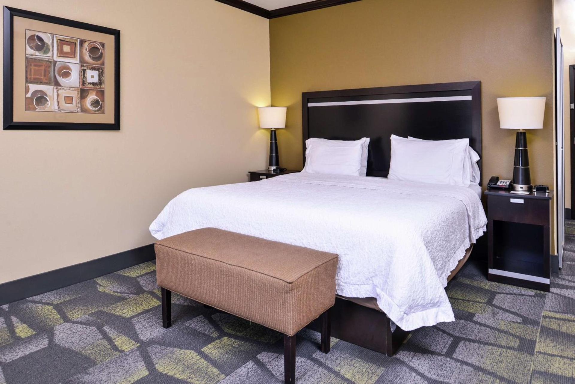 Hampton Inn & Suites Big Spring photo 57