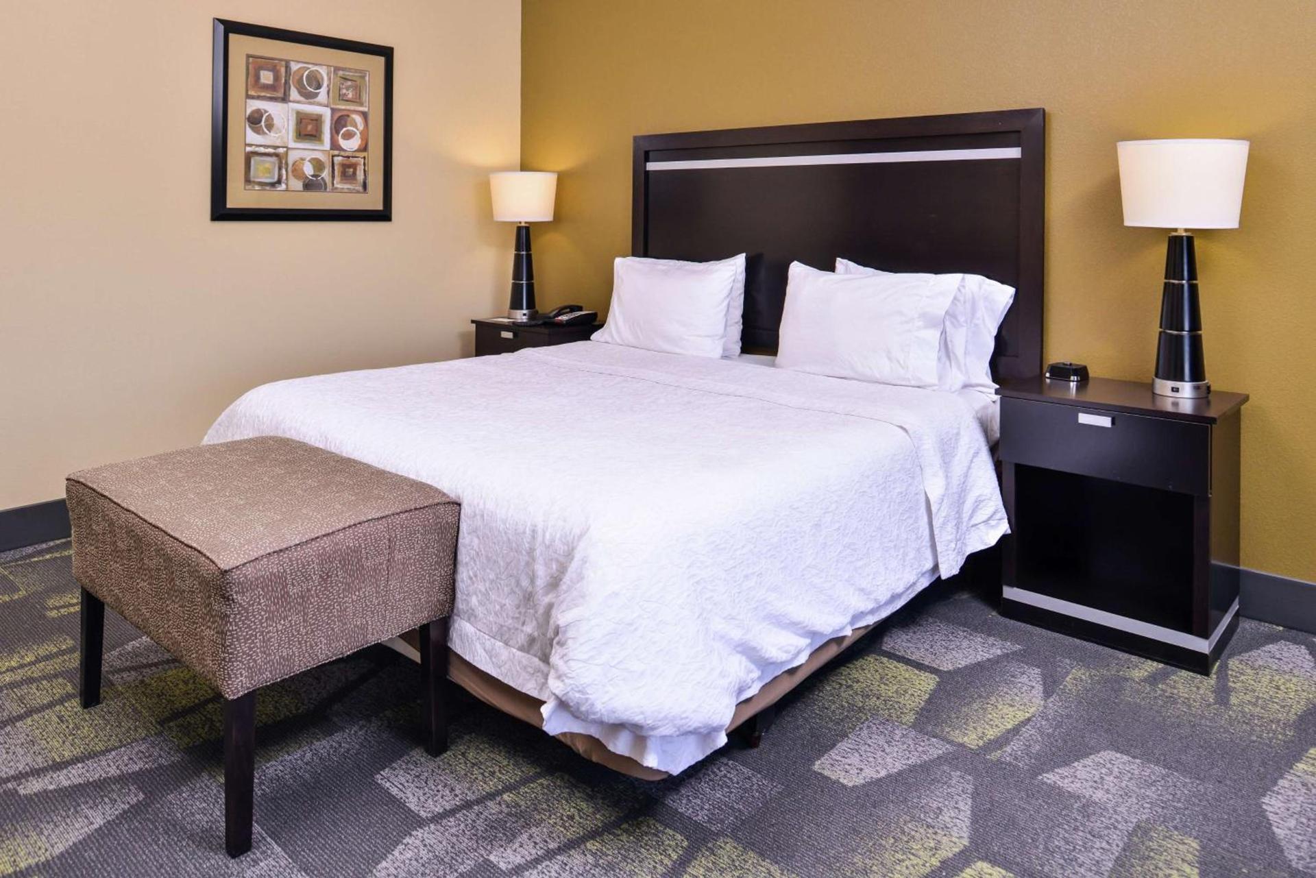 Hampton Inn & Suites Big Spring photo 58