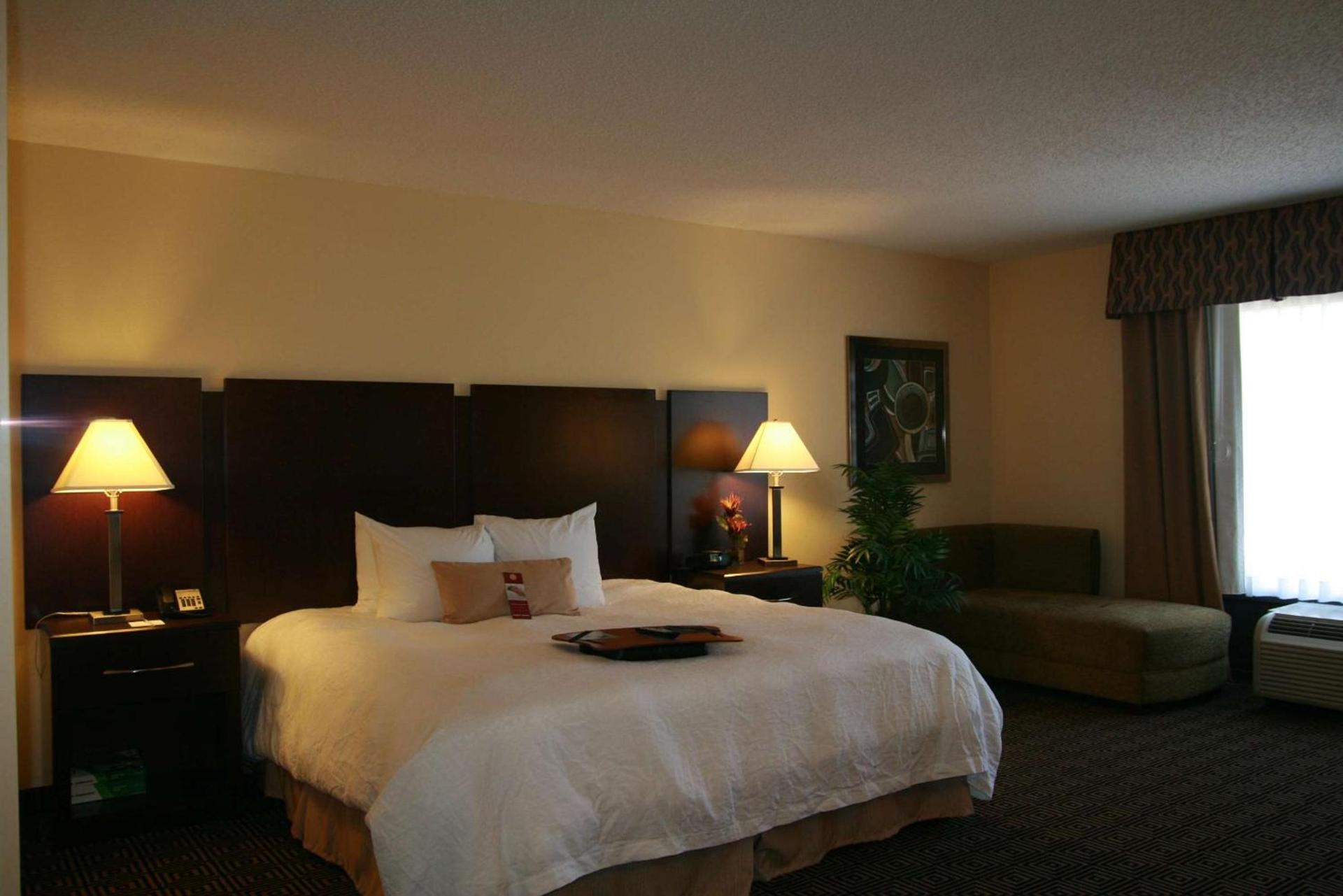 Hampton Inn & Suites Orlando-John Young Parkway/South Park photo 20