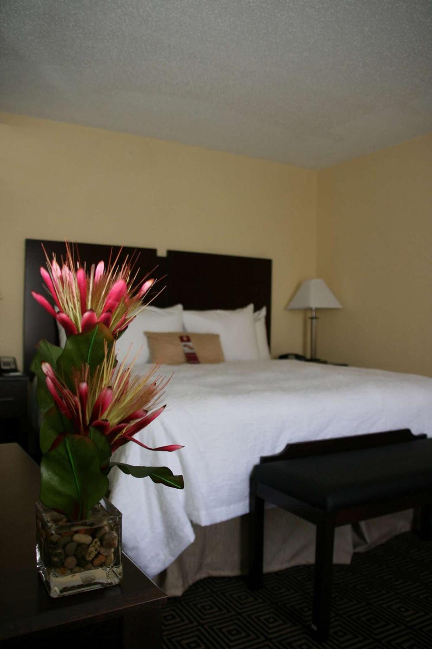 Hampton Inn & Suites Orlando-John Young Parkway/South Park photo 25