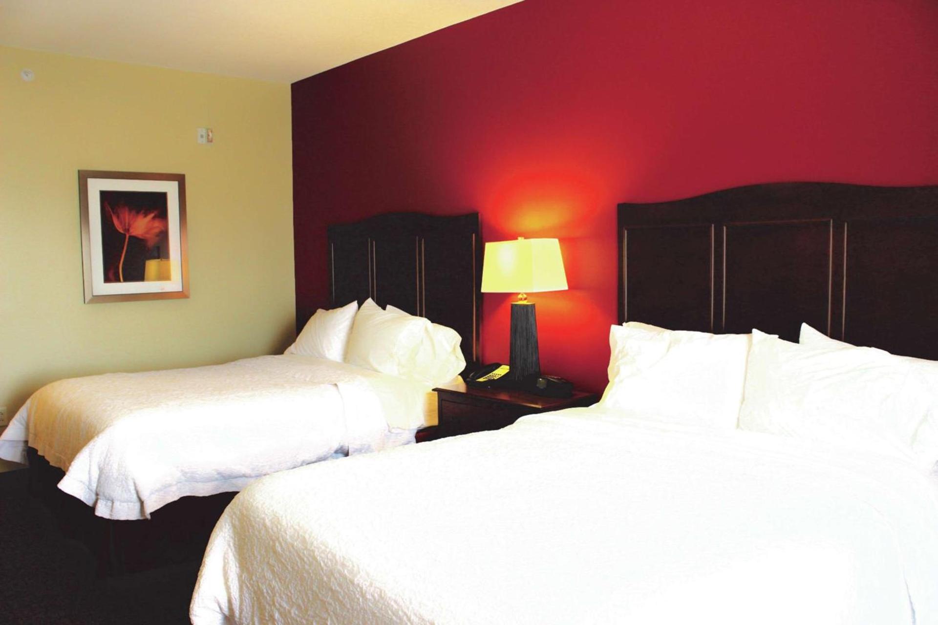 Hampton Inn & Suites McAllen photo 13
