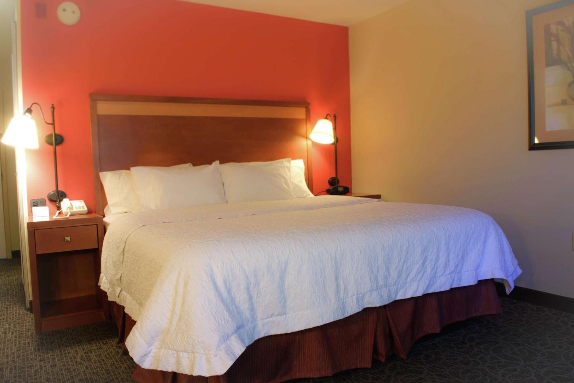 Hampton Inn Montgomery-South-Airport photo 24