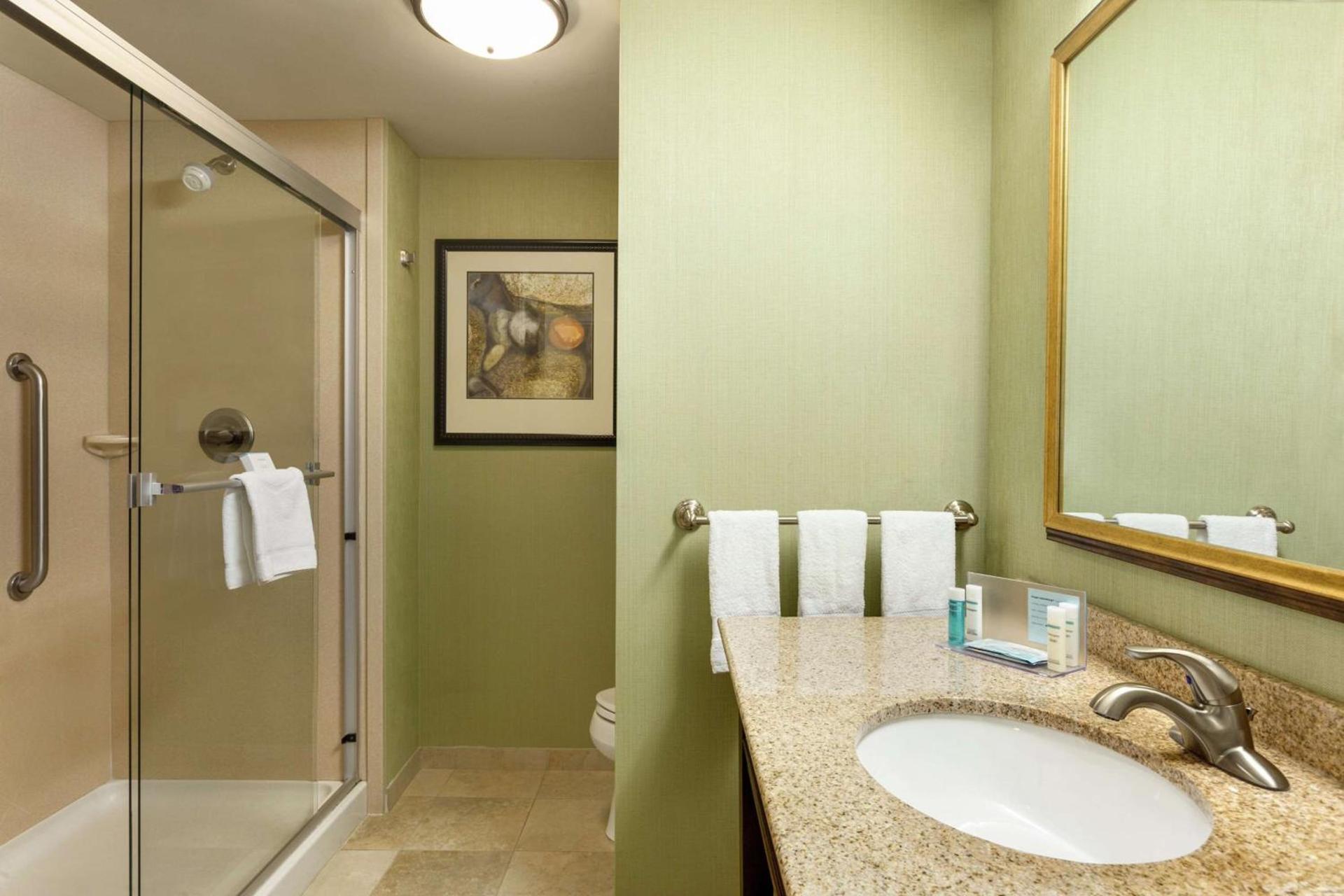Hampton Inn & Suites Prattville photo 26