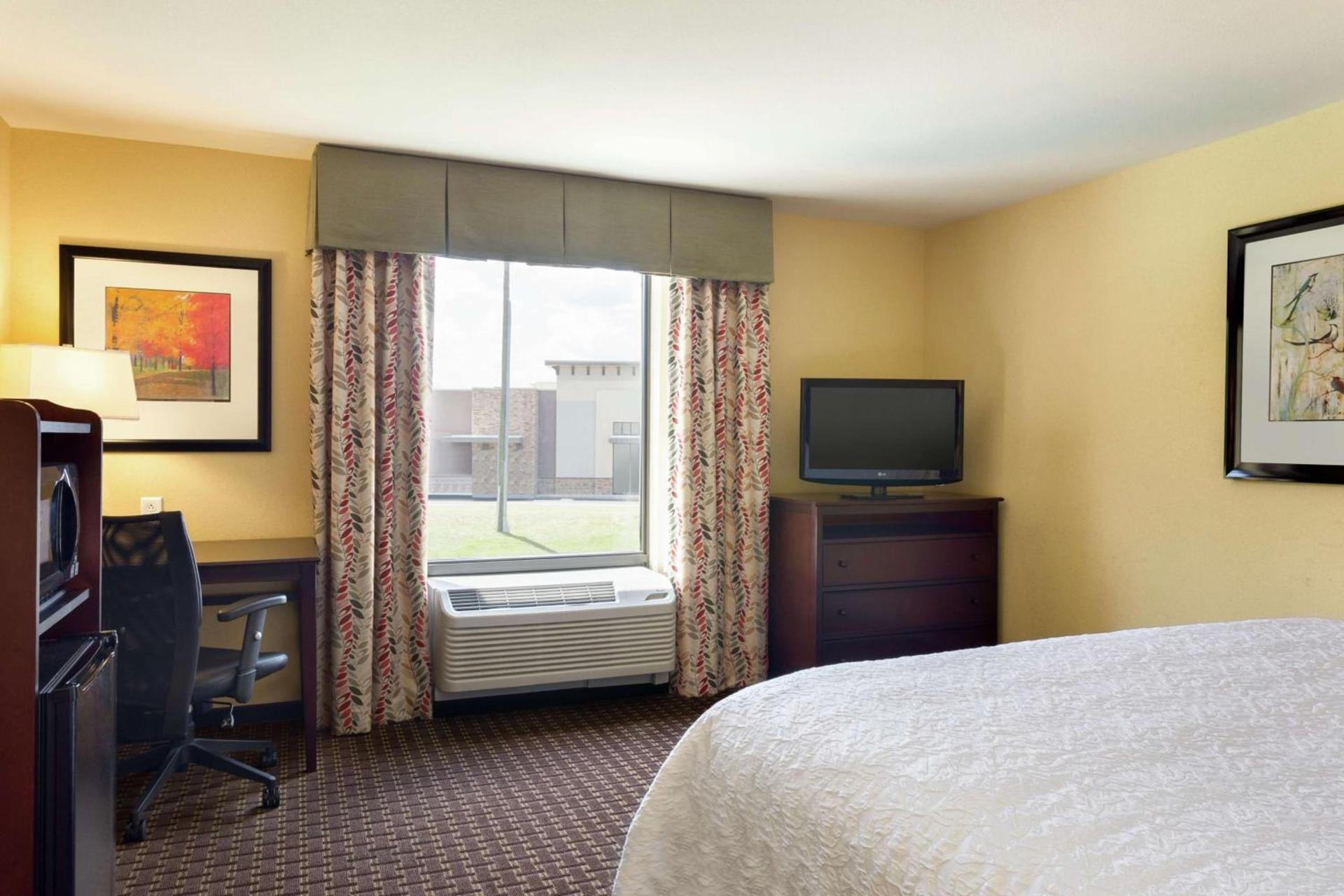Hampton Inn & Suites Prattville photo 28