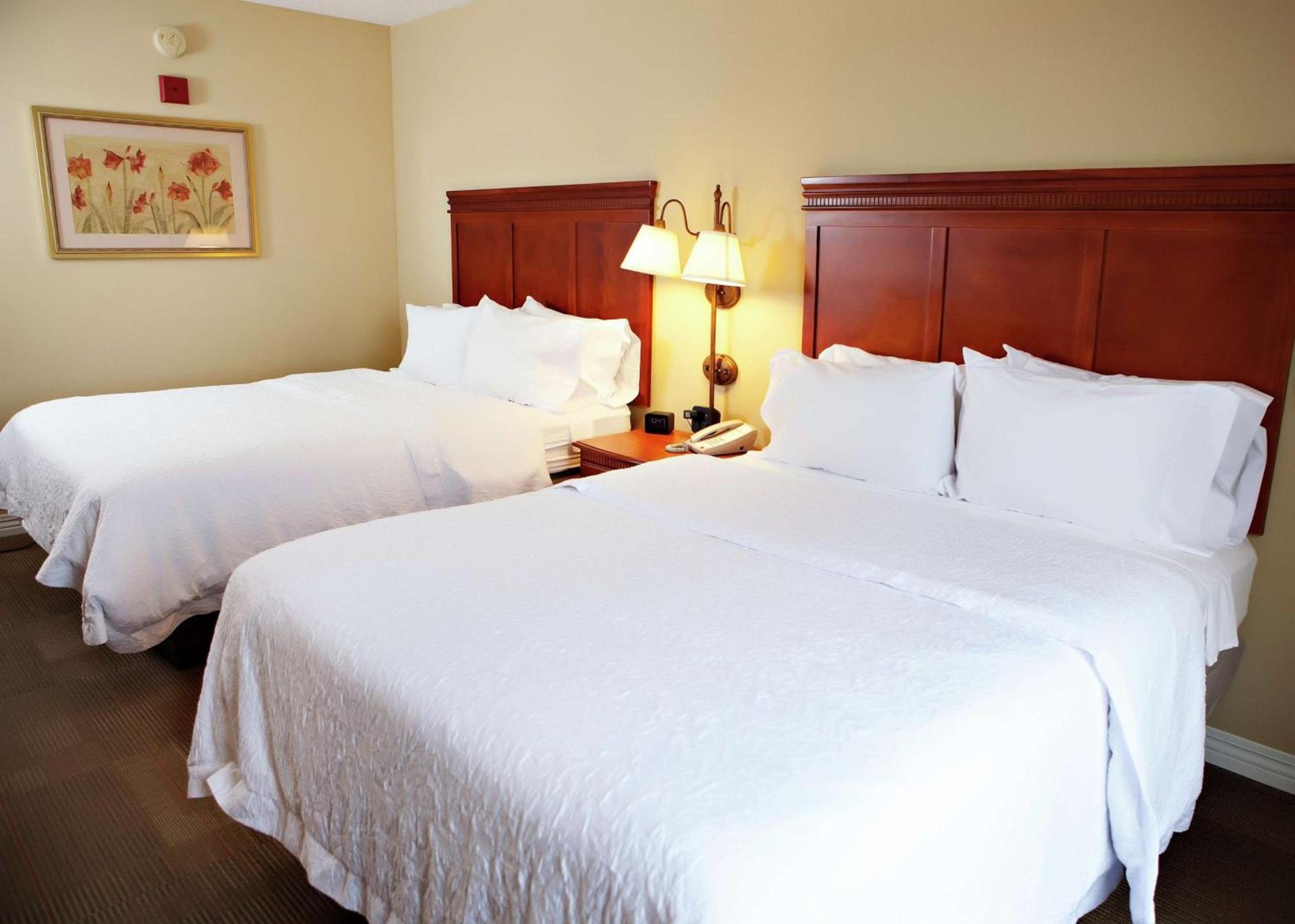 Hampton Inn Martin photo 22