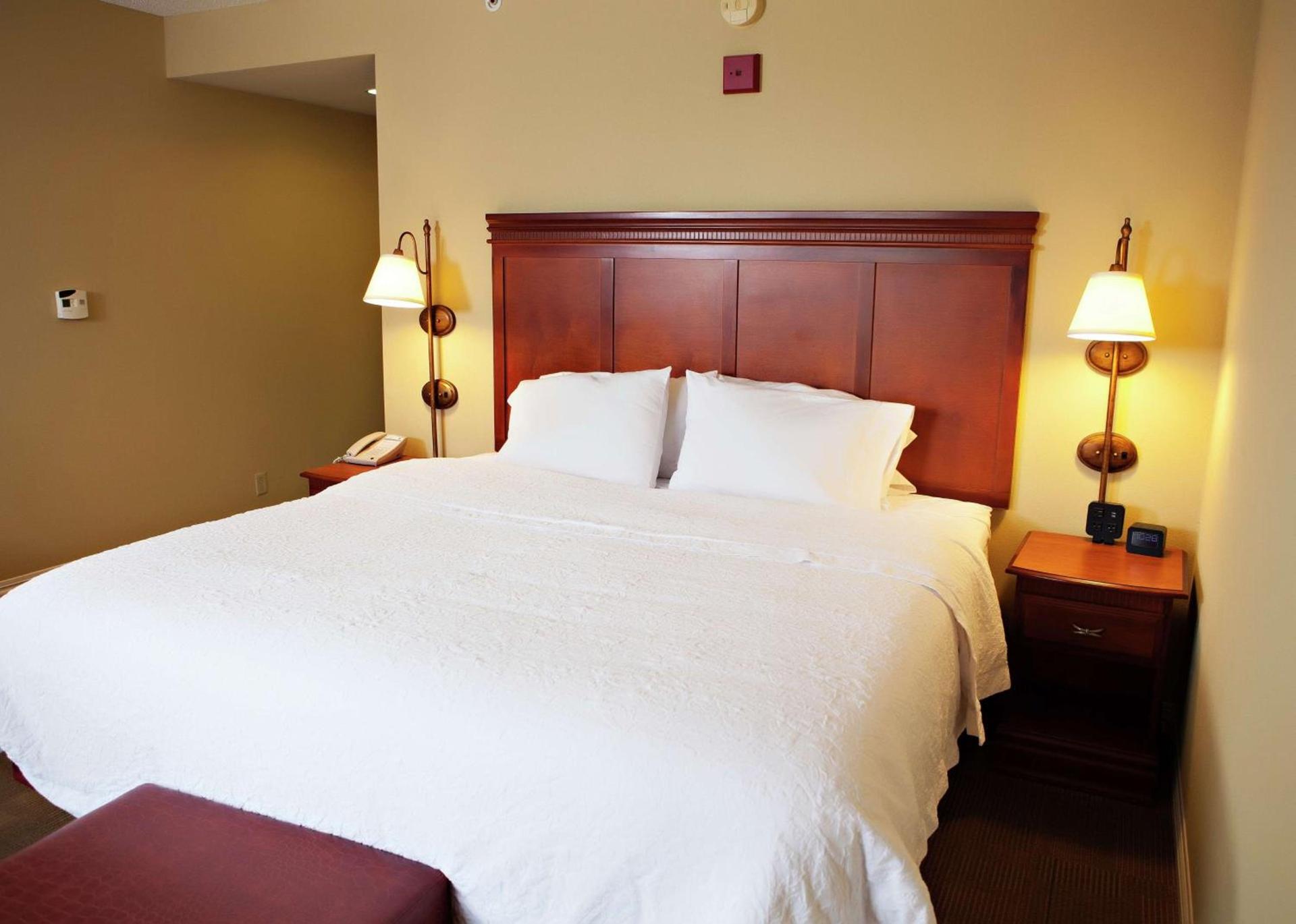 Hampton Inn Martin photo 24