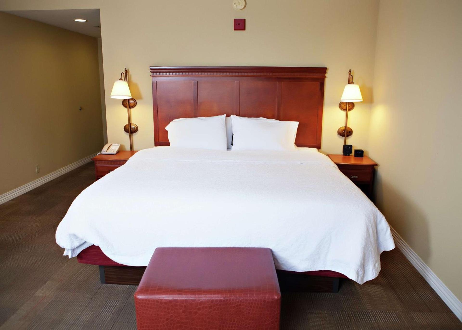 Hampton Inn Martin photo 37