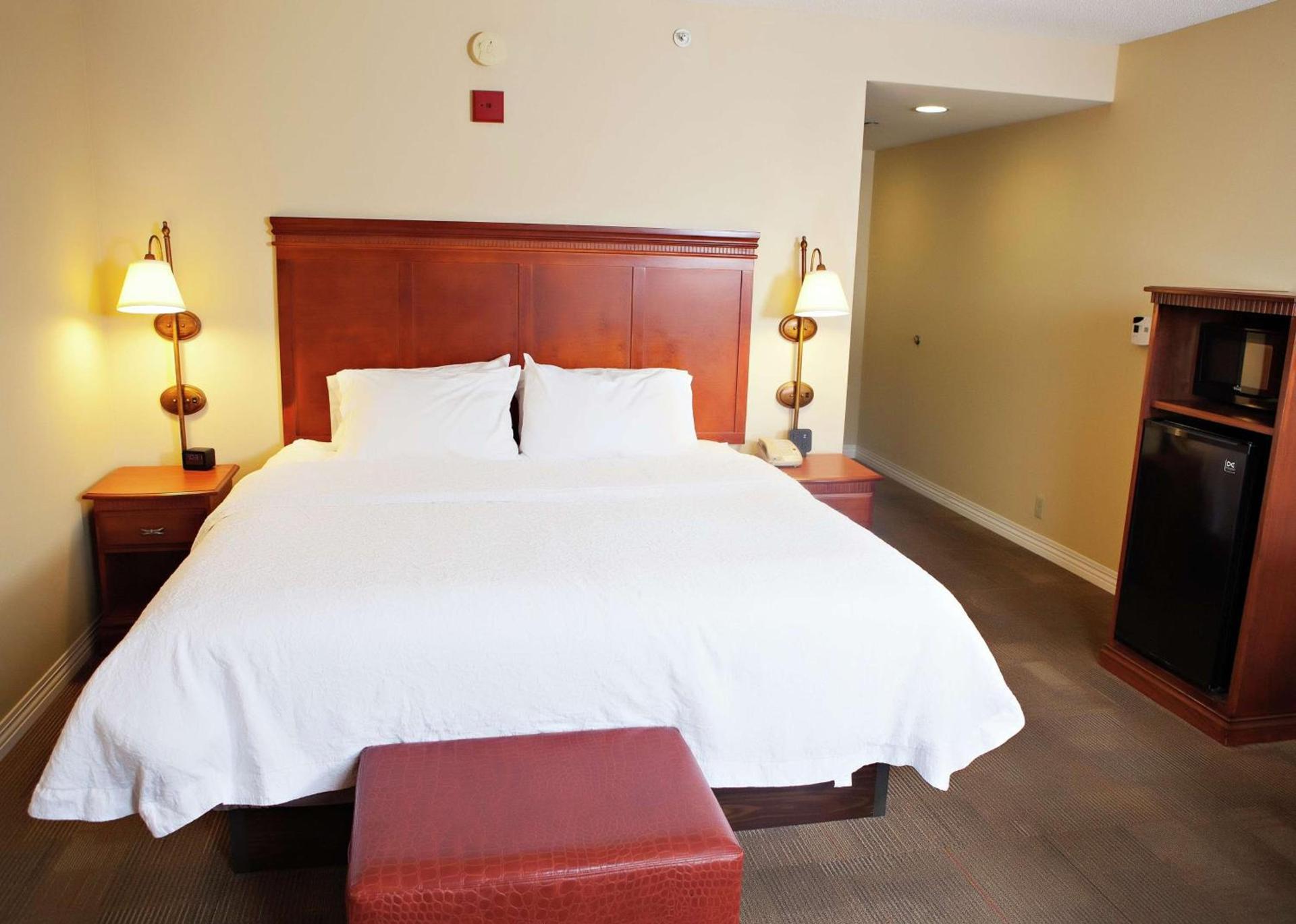 Hampton Inn Martin photo 44