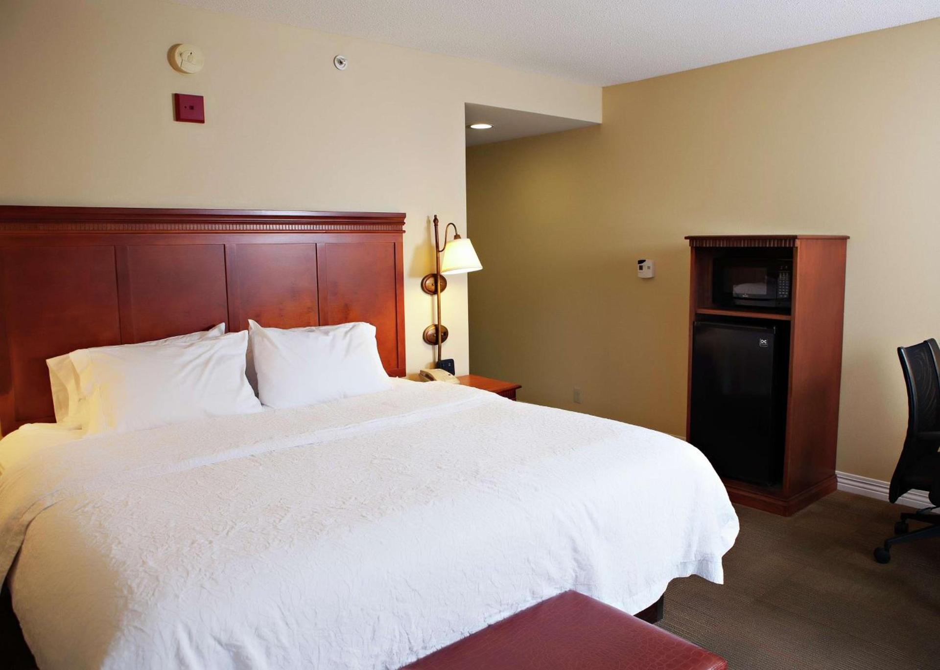 Hampton Inn Martin photo 46