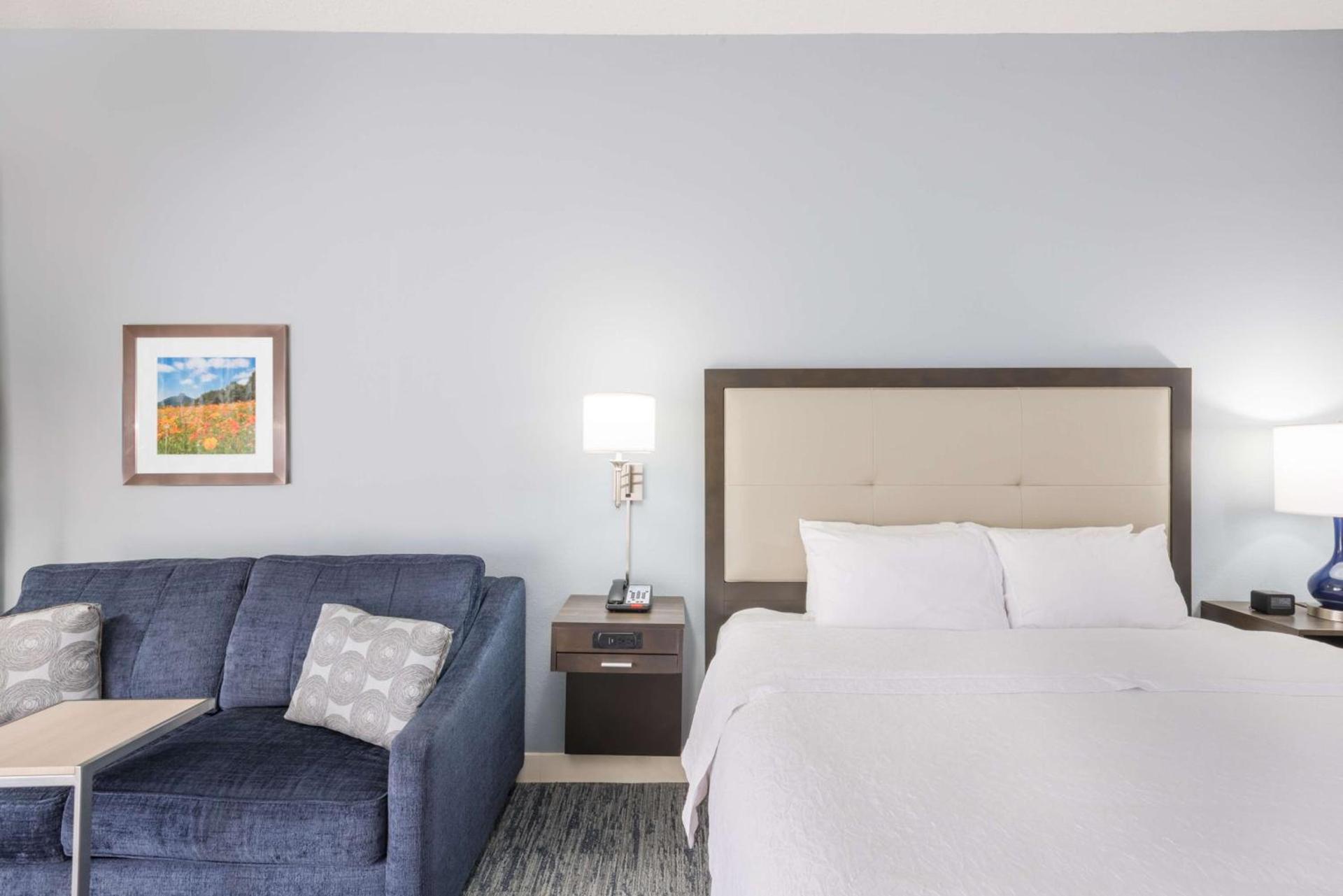 Hampton Inn Mount Airy photo 31