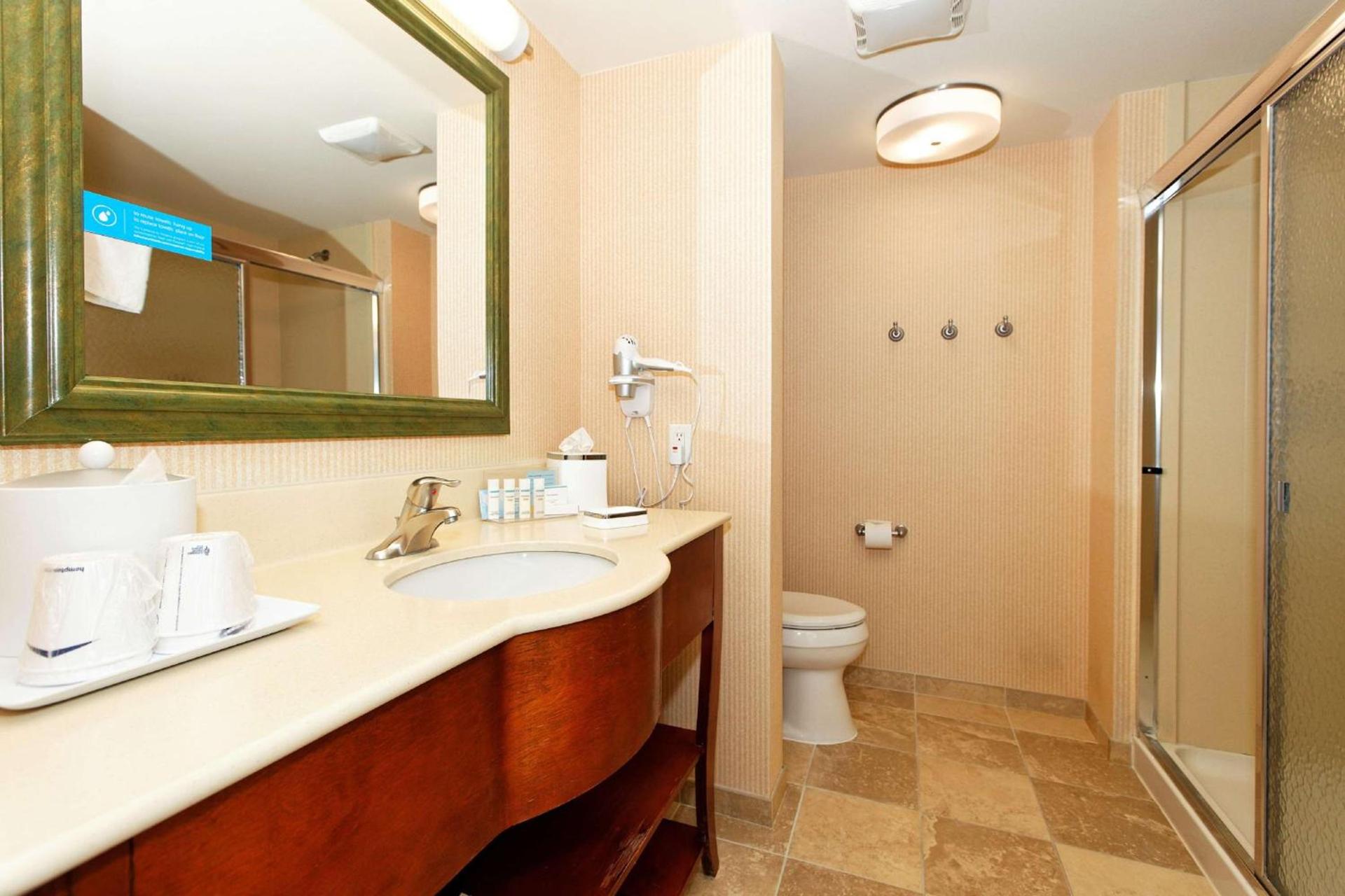 Hampton Inn by Hilton Montrose photo 19