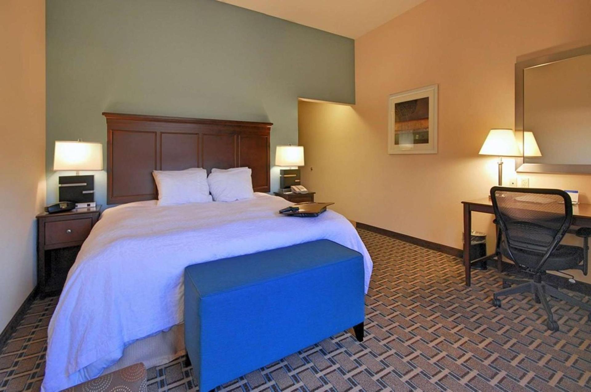 Hampton Inn and Suites New Iberia photo 43