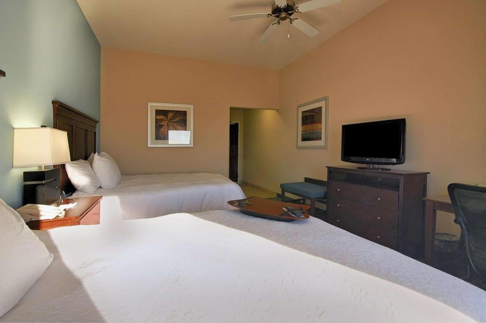 Hampton Inn and Suites New Iberia photo 45