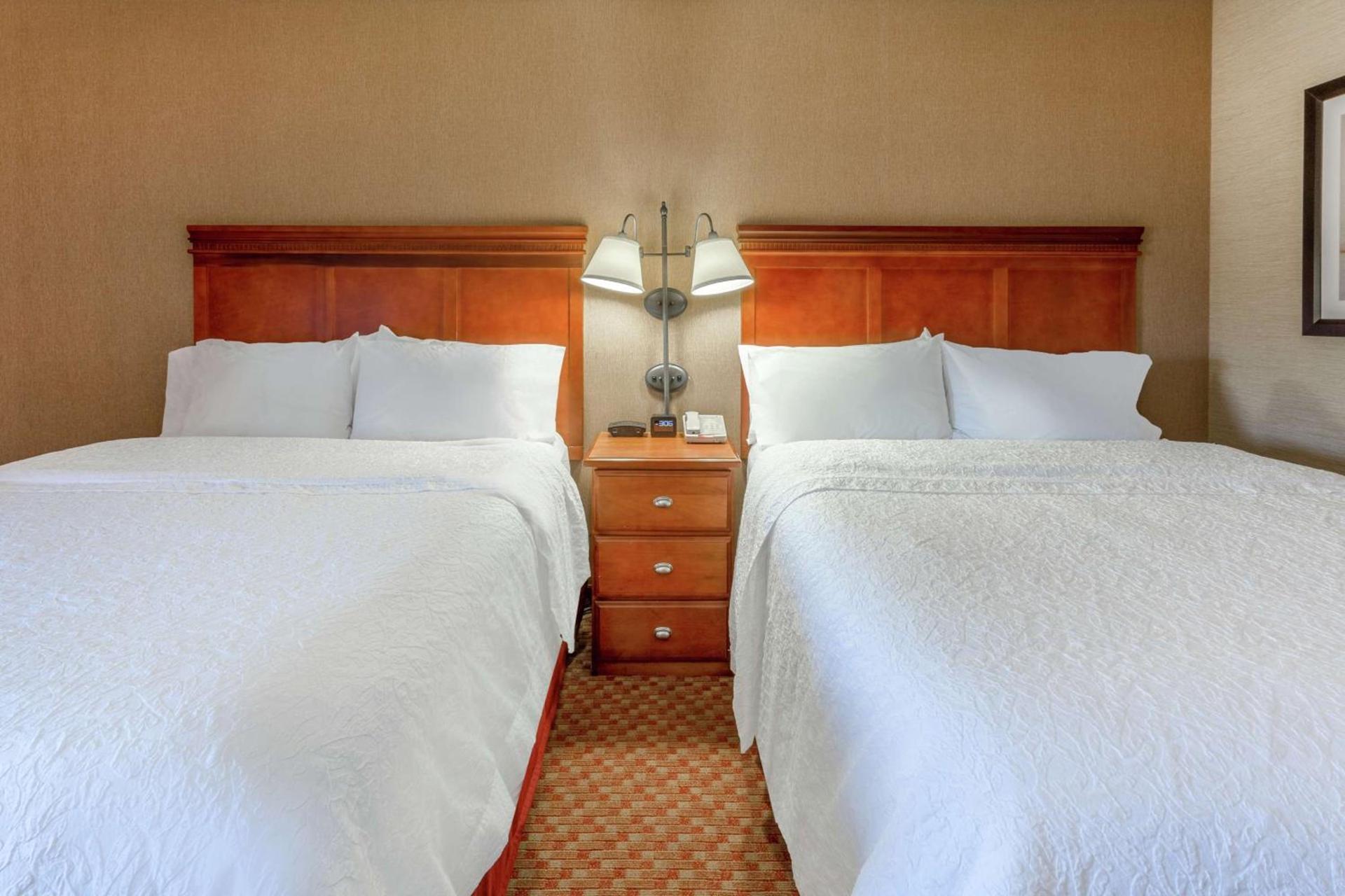 Hampton Inn East Peoria photo 17