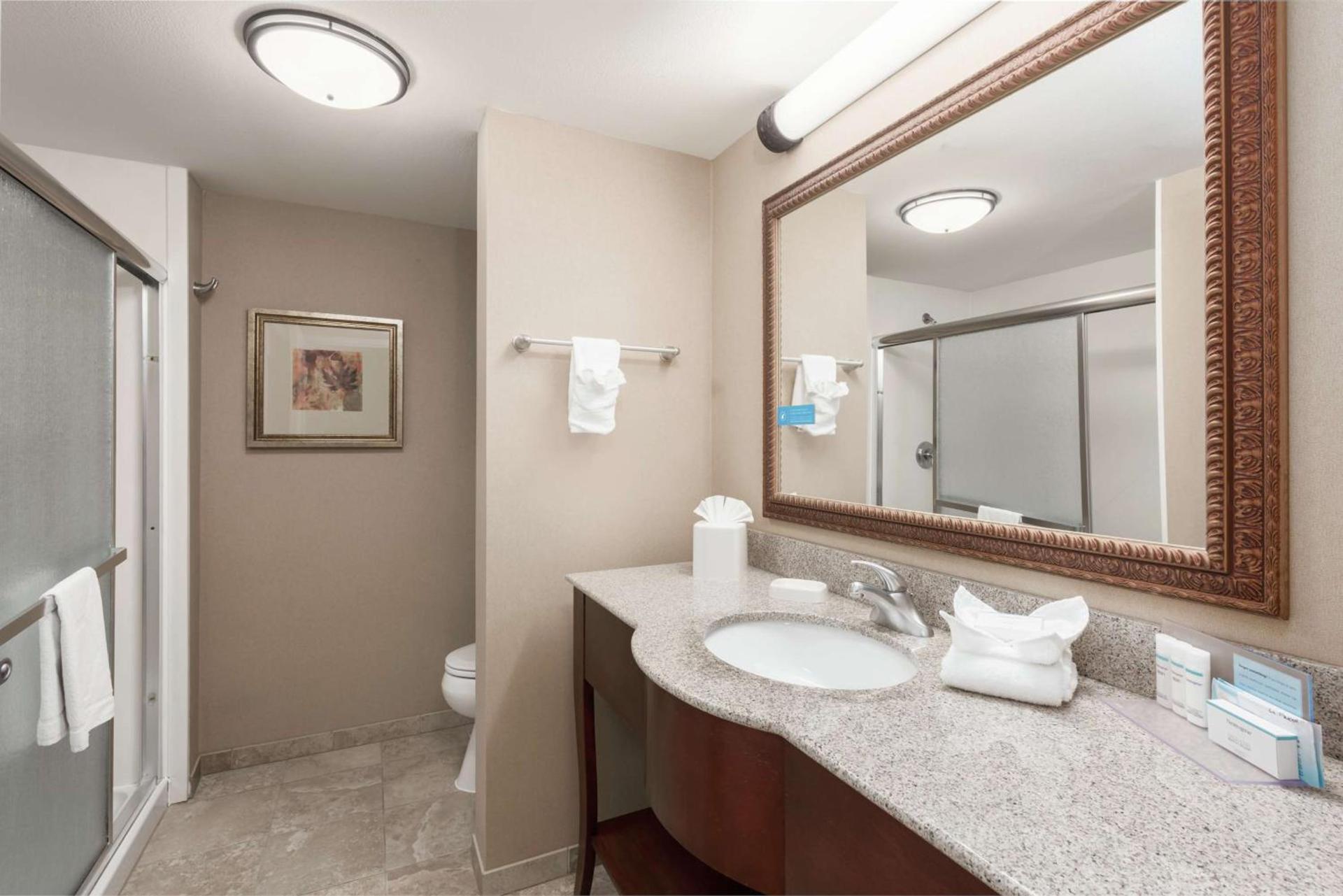 Hampton Inn Branson - Branson Hills photo 25