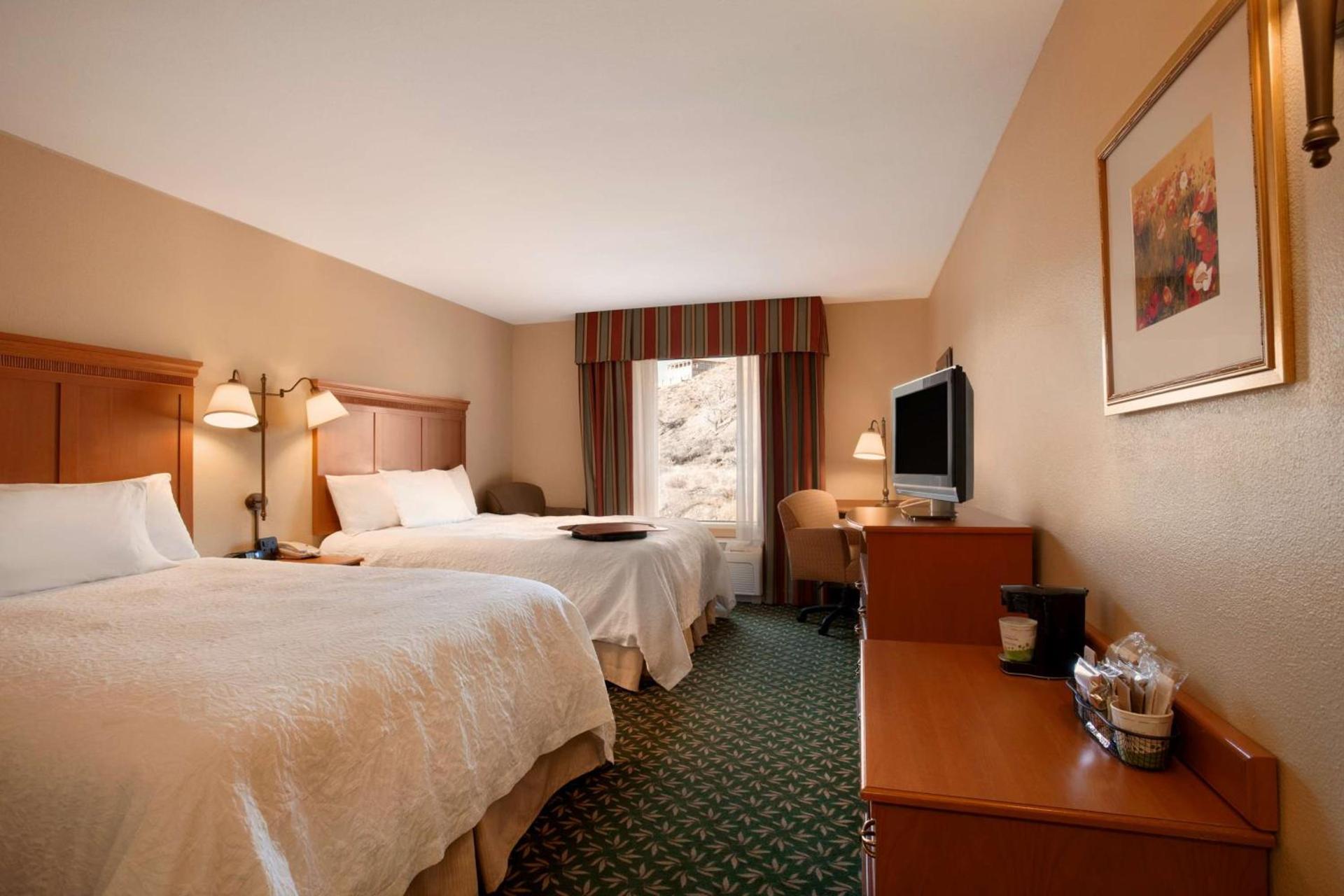 Hampton Inn Canon City photo 14