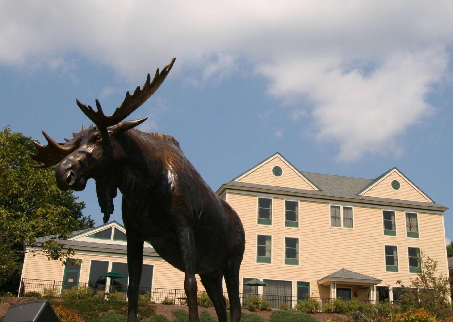 Hampton Inn Freeport/Brunswick photo 3
