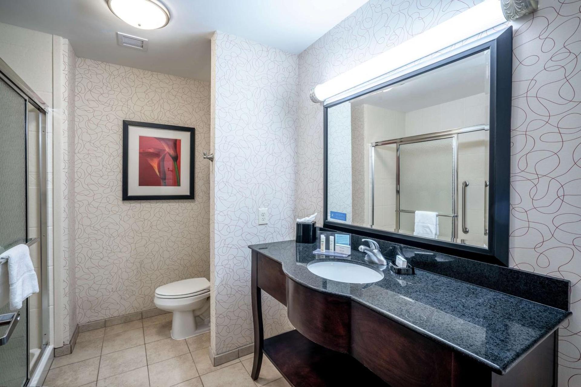 Hampton Inn Richmond - Airport photo 31