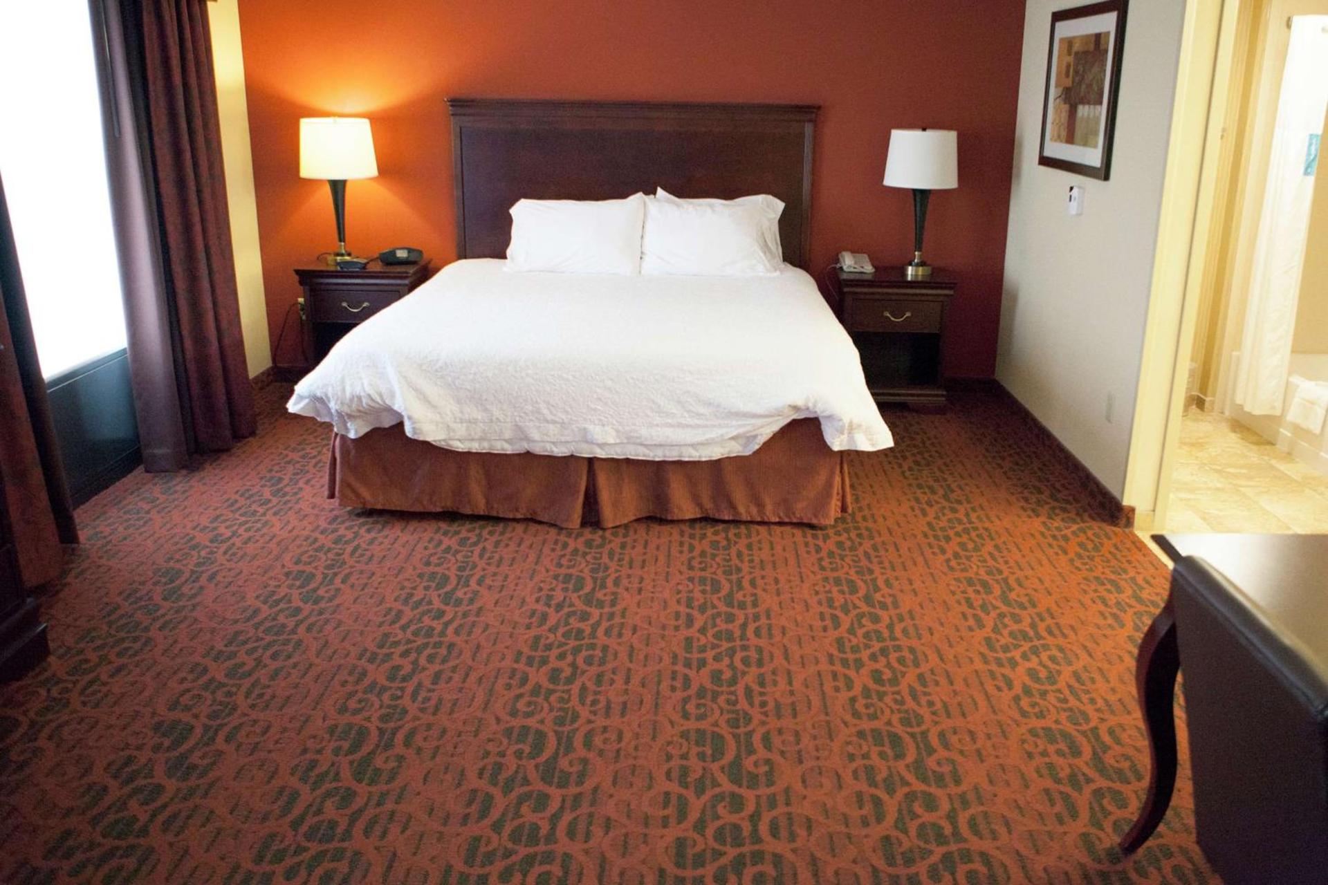 Hampton Inn Rochester-Webster photo 12