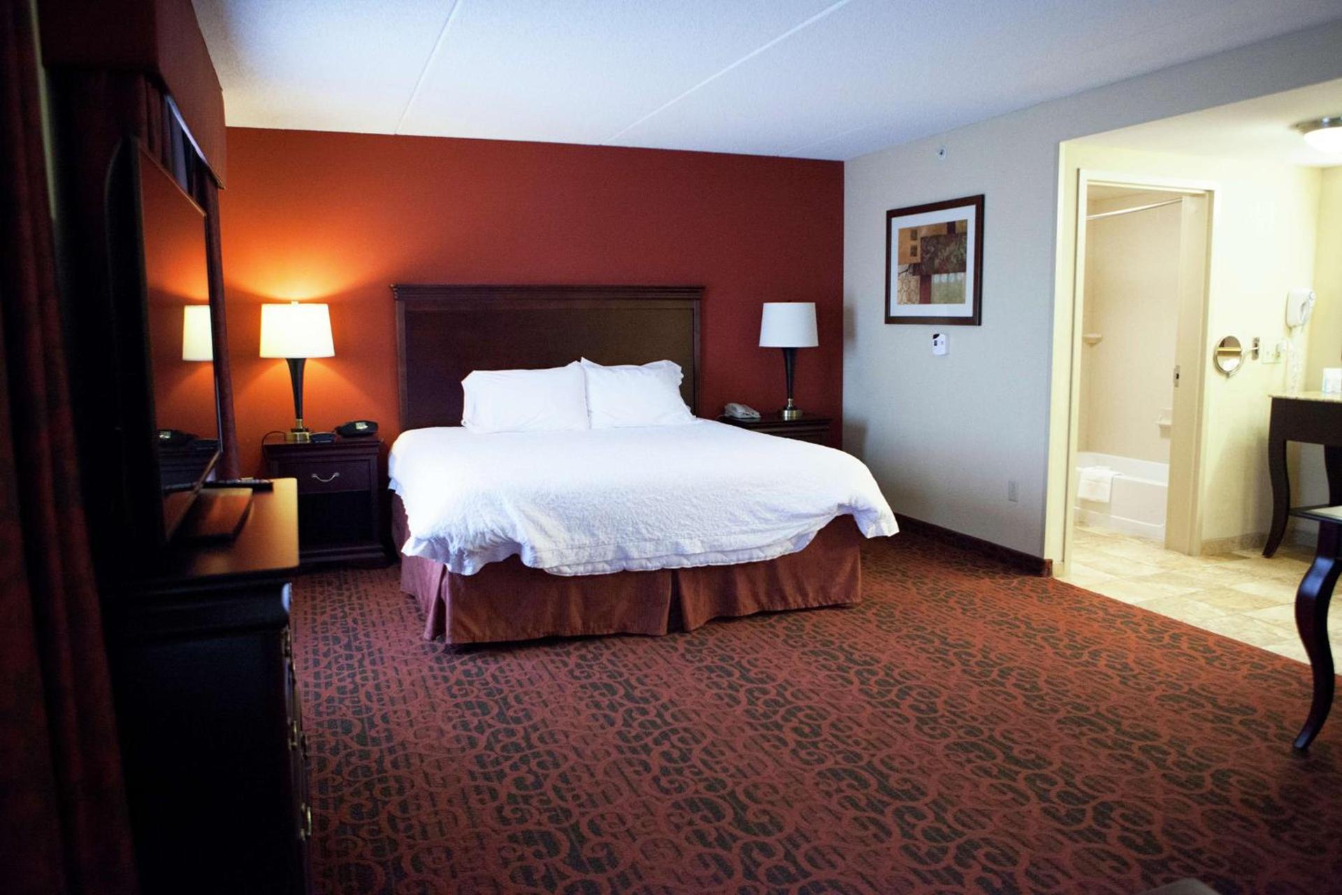 Hampton Inn Rochester-Webster photo 14