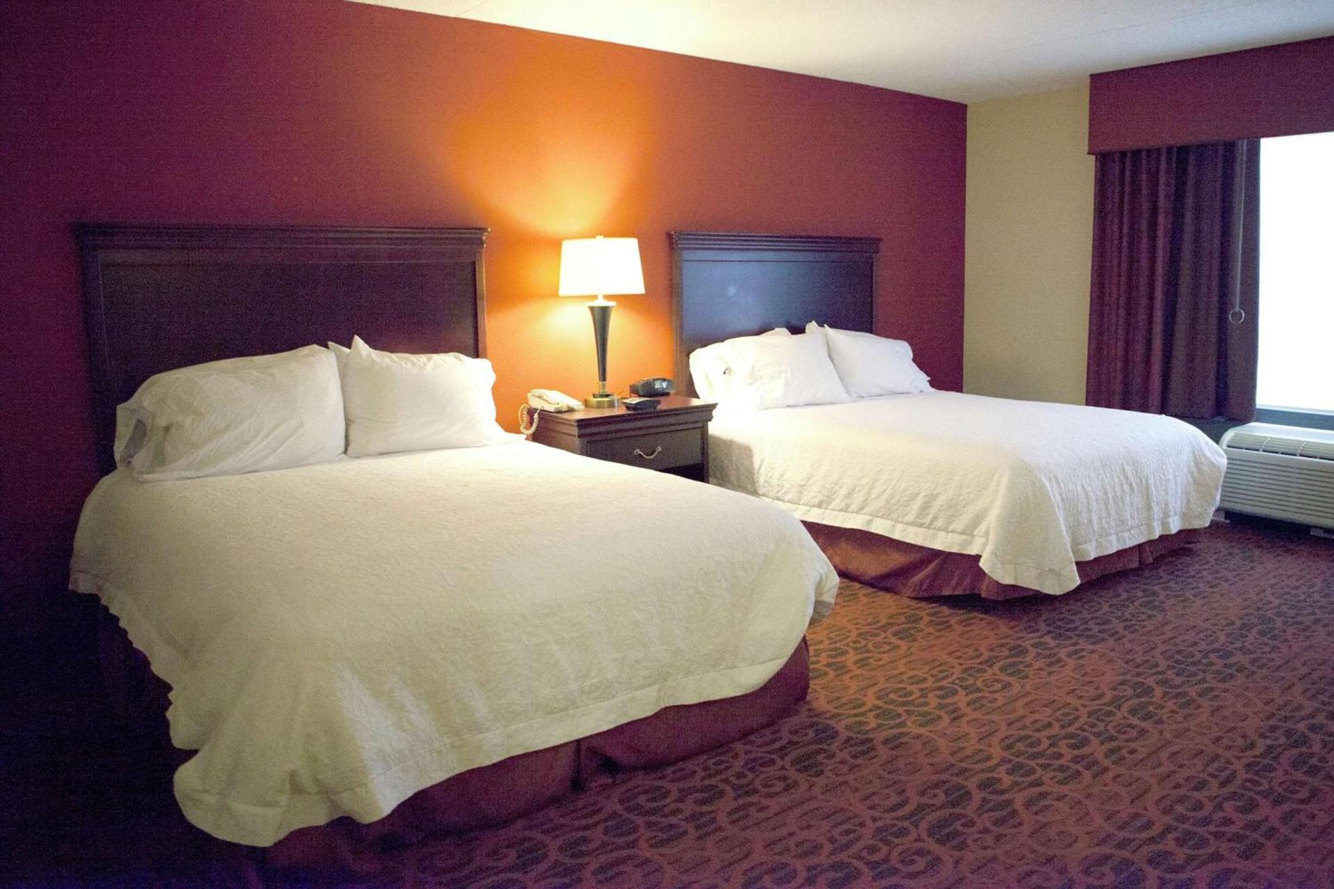 Hampton Inn Rochester-Webster photo 13