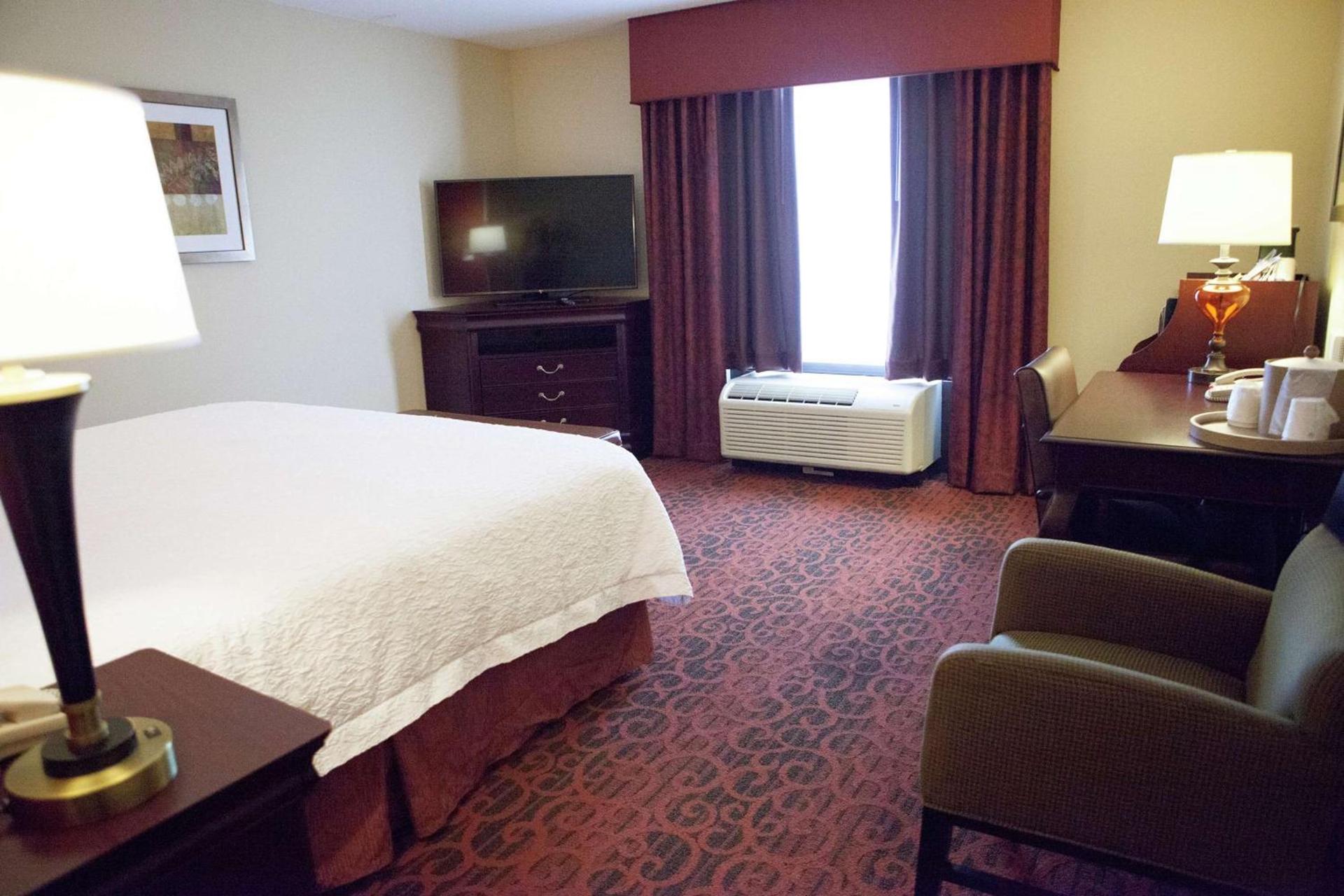 Hampton Inn Rochester-Webster photo 19
