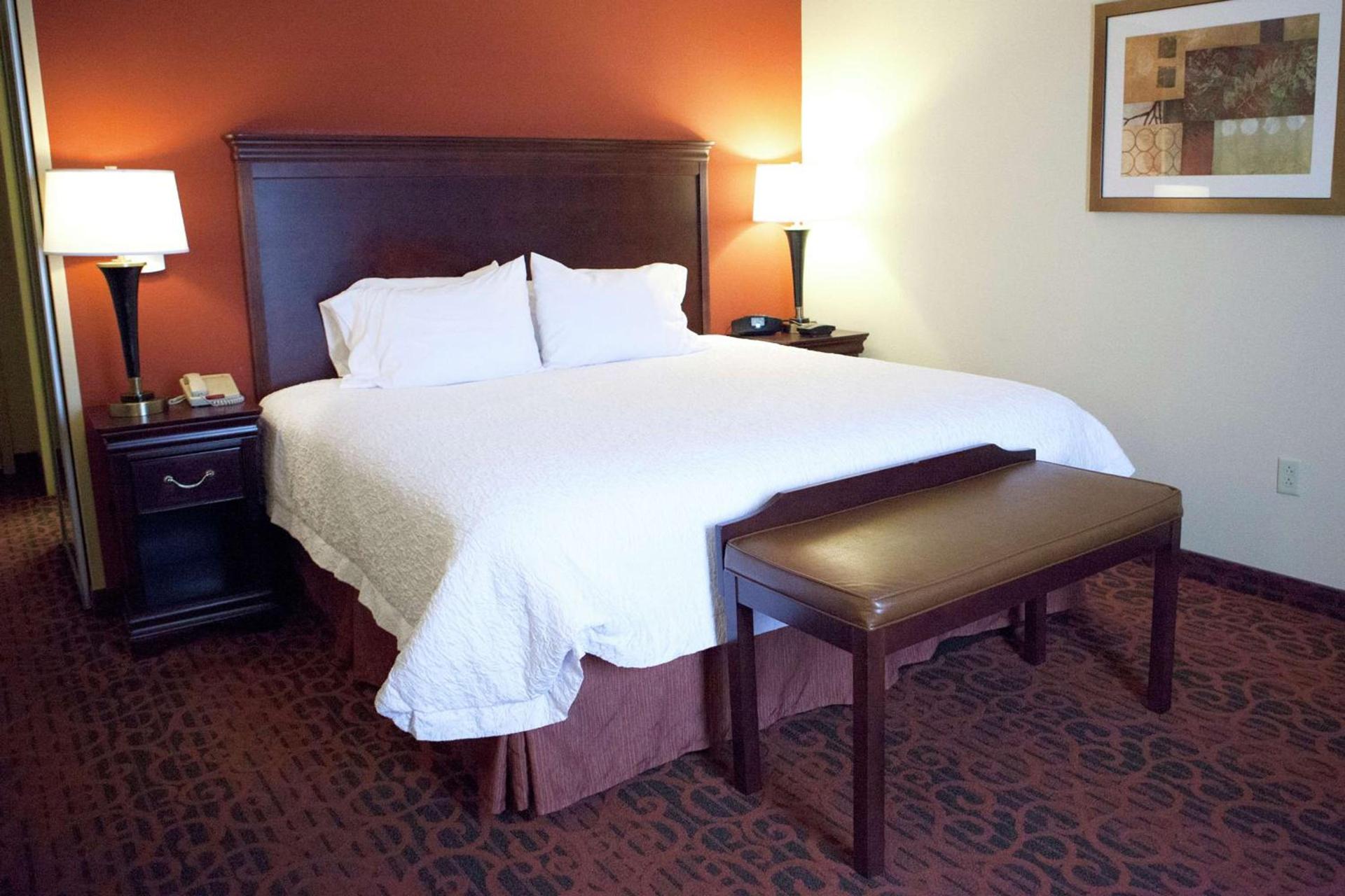 Hampton Inn Rochester-Webster photo 28