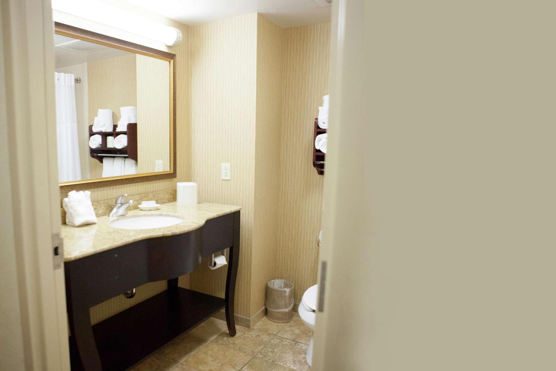 Hampton Inn Rochester-Webster photo 26
