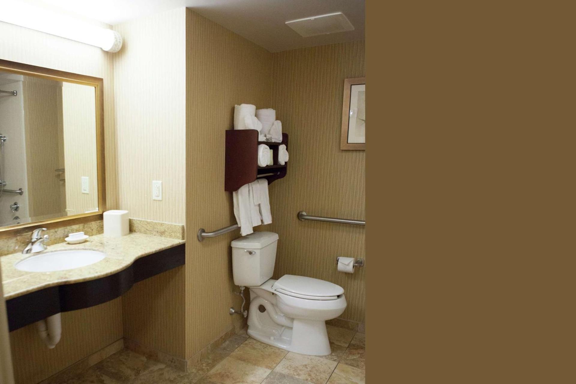 Hampton Inn Rochester-Webster photo 25