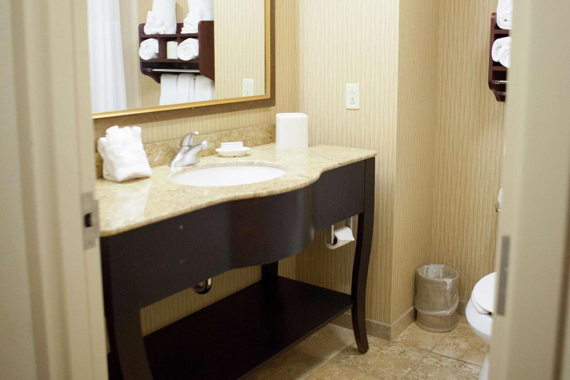 Hampton Inn Rochester-Webster photo 27