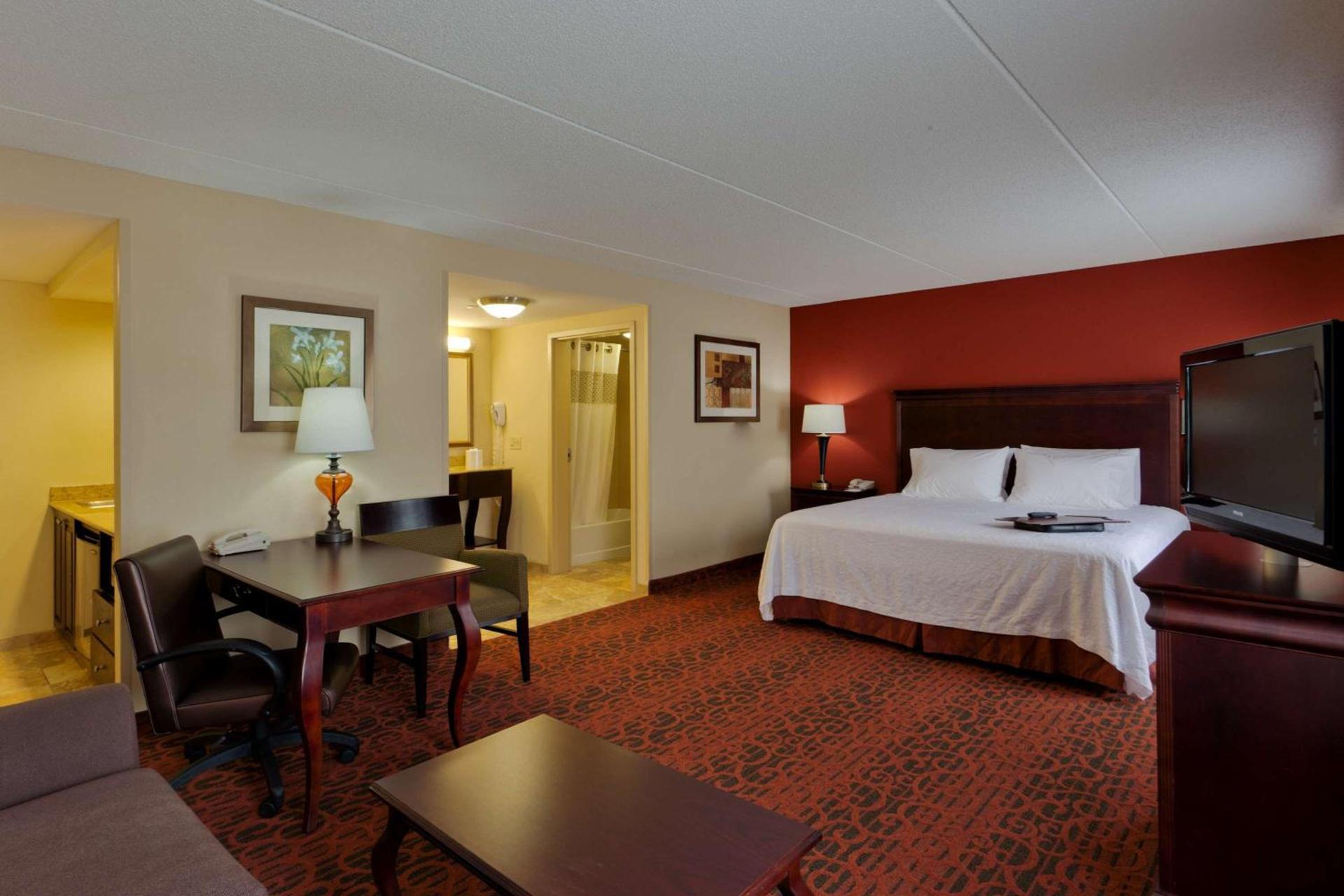 Hampton Inn Rochester-Webster photo 35