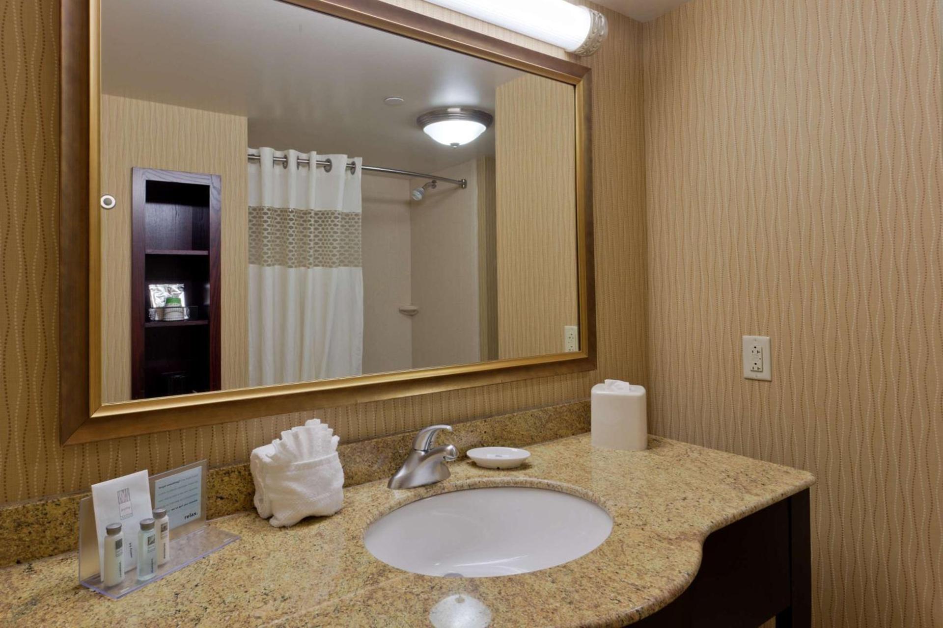 Hampton Inn Rochester-Webster photo 34