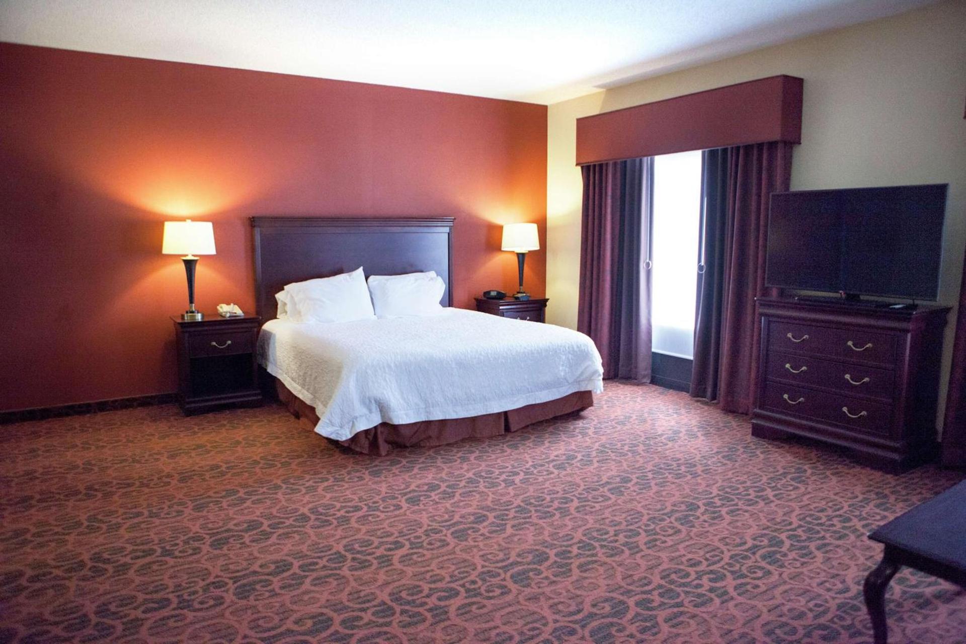 Hampton Inn Rochester-Webster photo 40