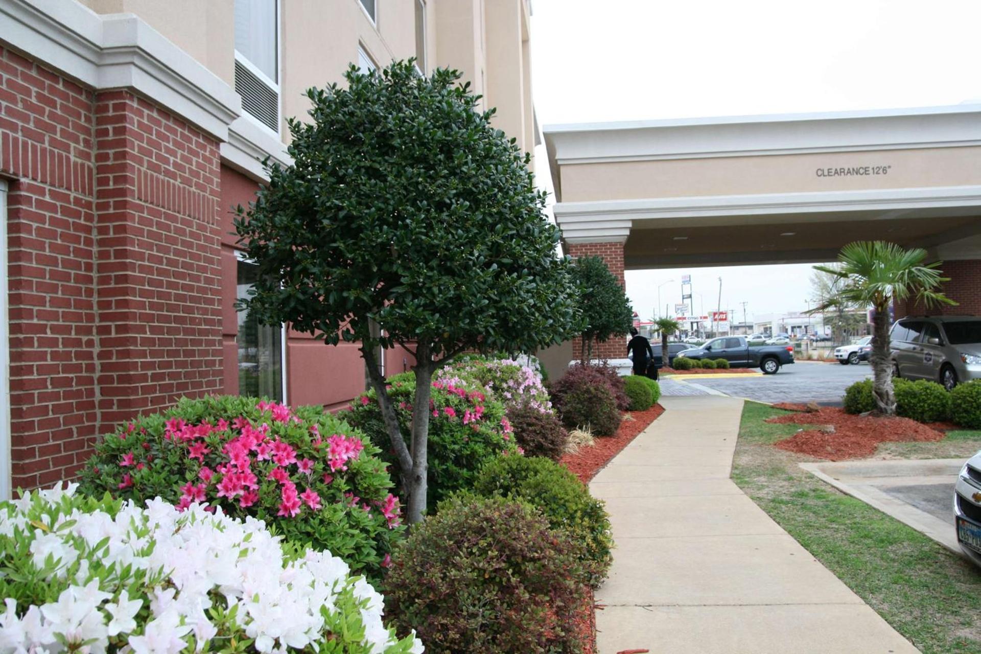 Hampton Inn Shreveport-Airport photo 4