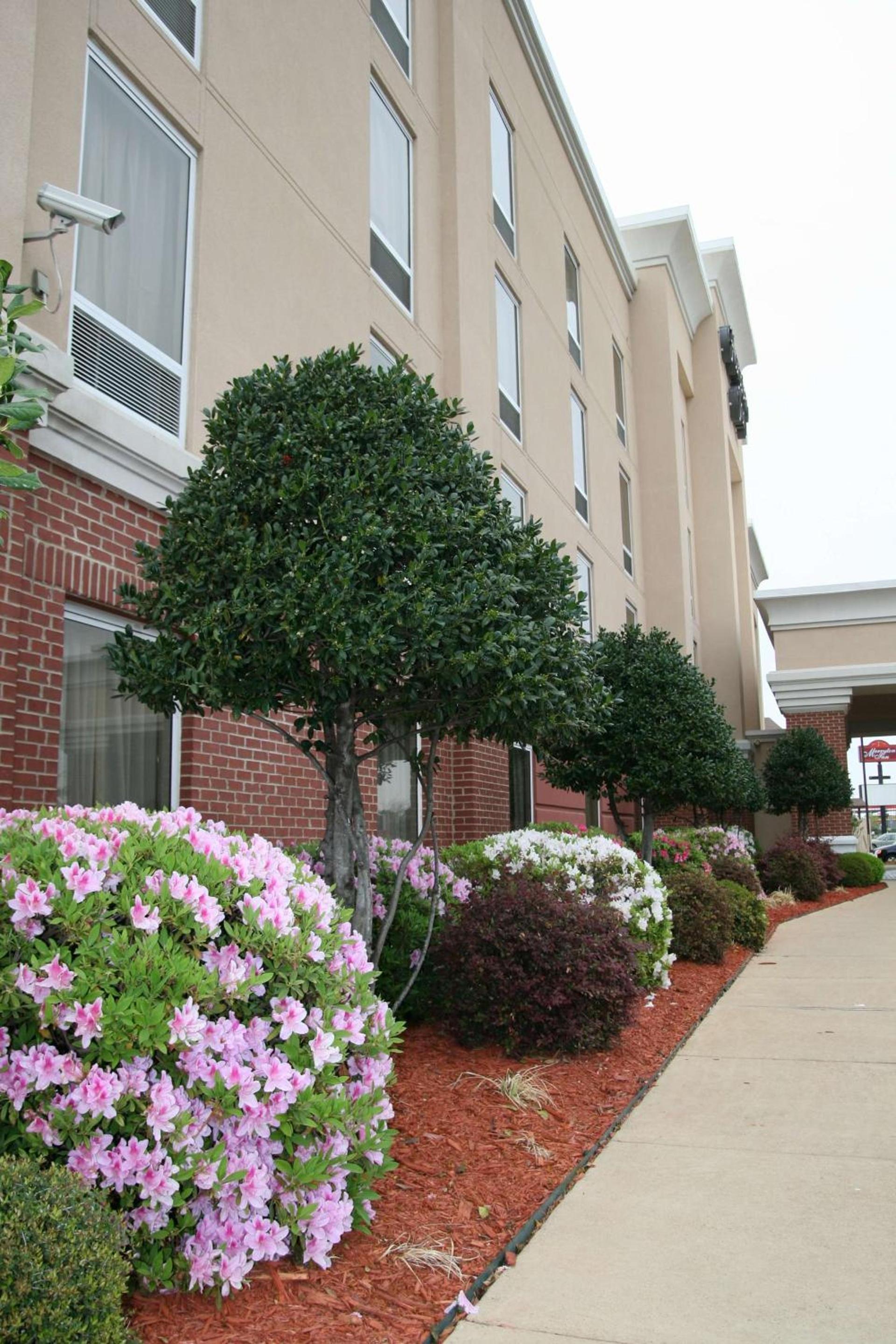 Hampton Inn Shreveport-Airport photo 3