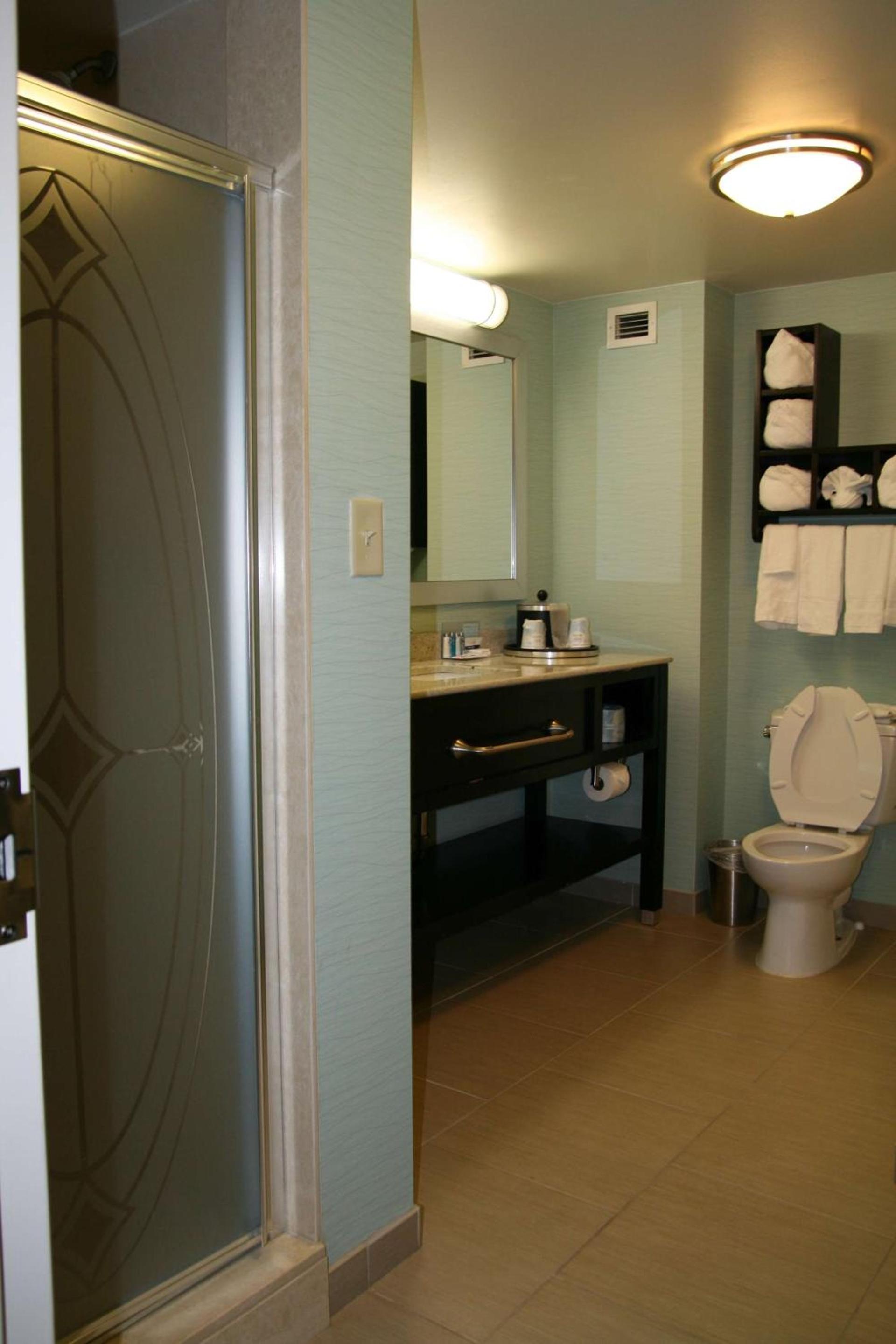 Hampton Inn Shreveport-Airport photo 33
