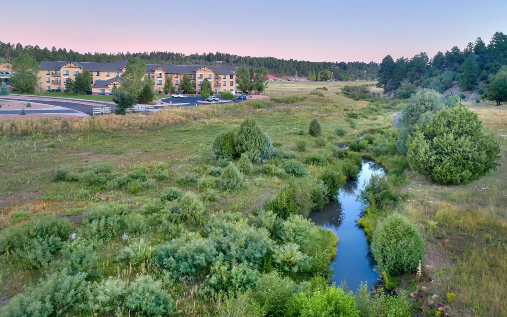 Hampton Inn & Suites Show Low-Pinetop photo 3