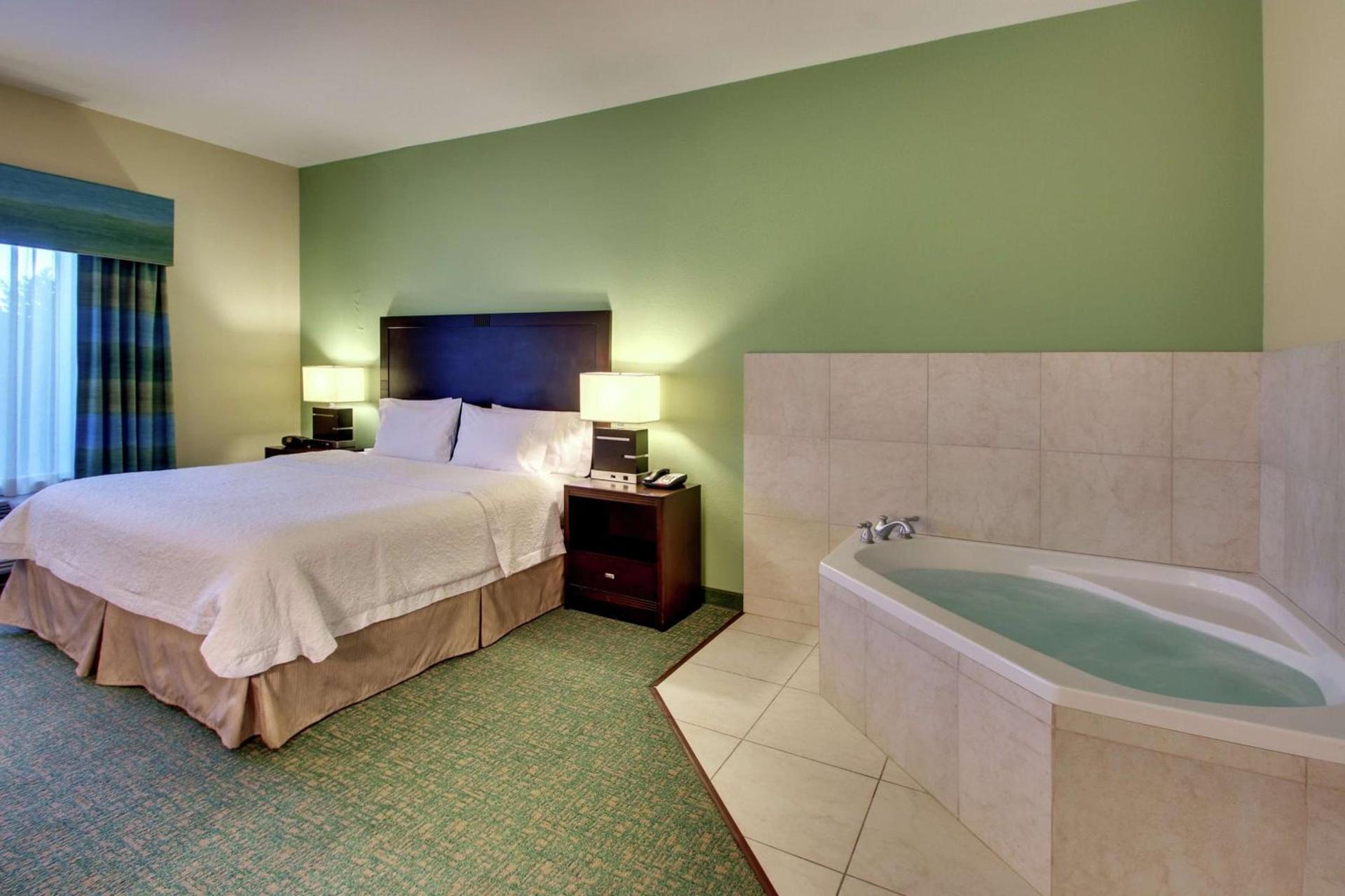 Hampton Inn Vernon photo 26
