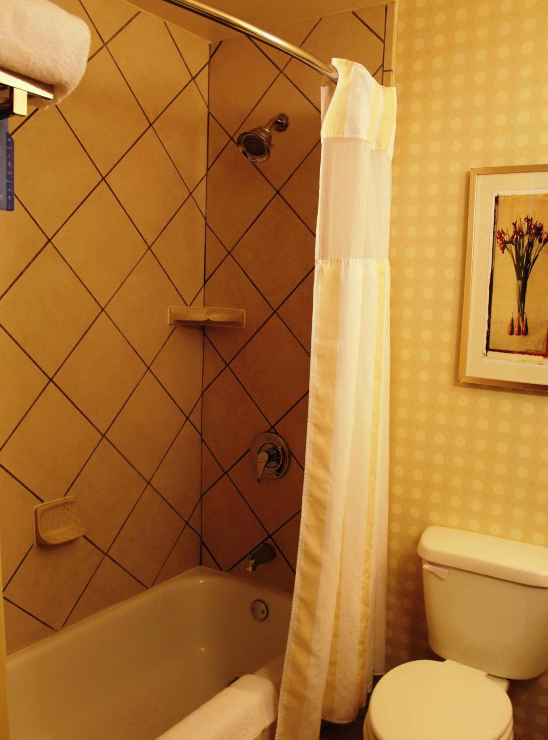 Hilton Garden Inn Starkville photo 64