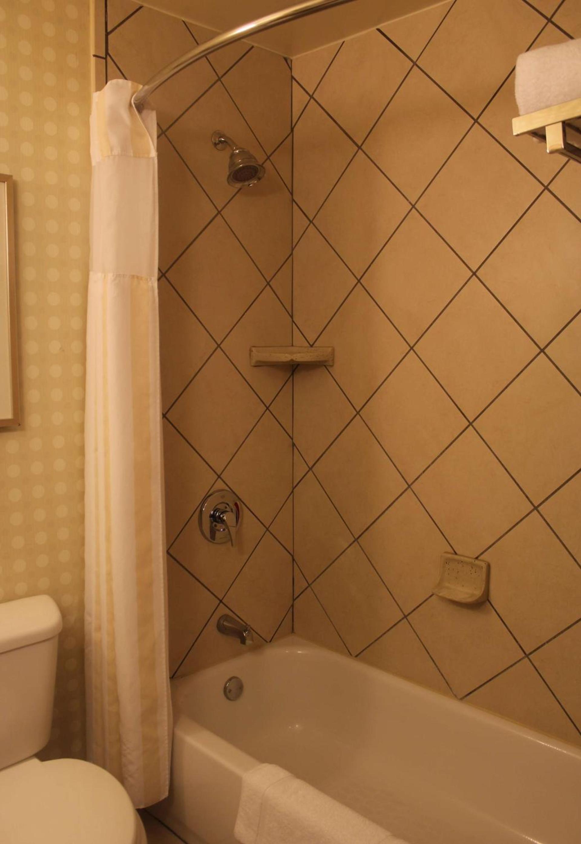 Hilton Garden Inn Starkville photo 65