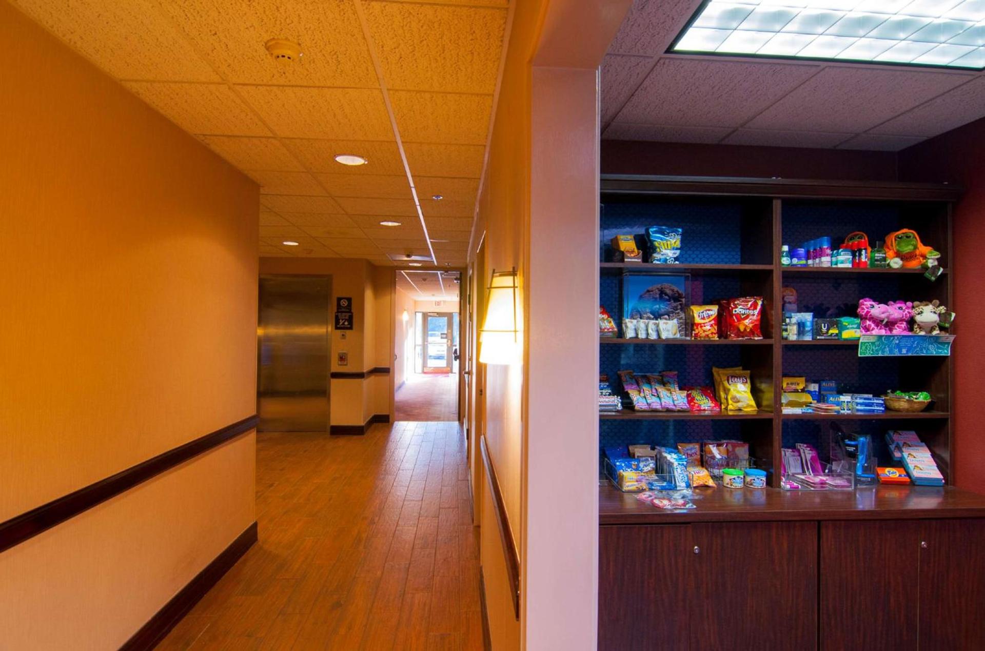Hampton Inn & Suites Tampa-North photo 16