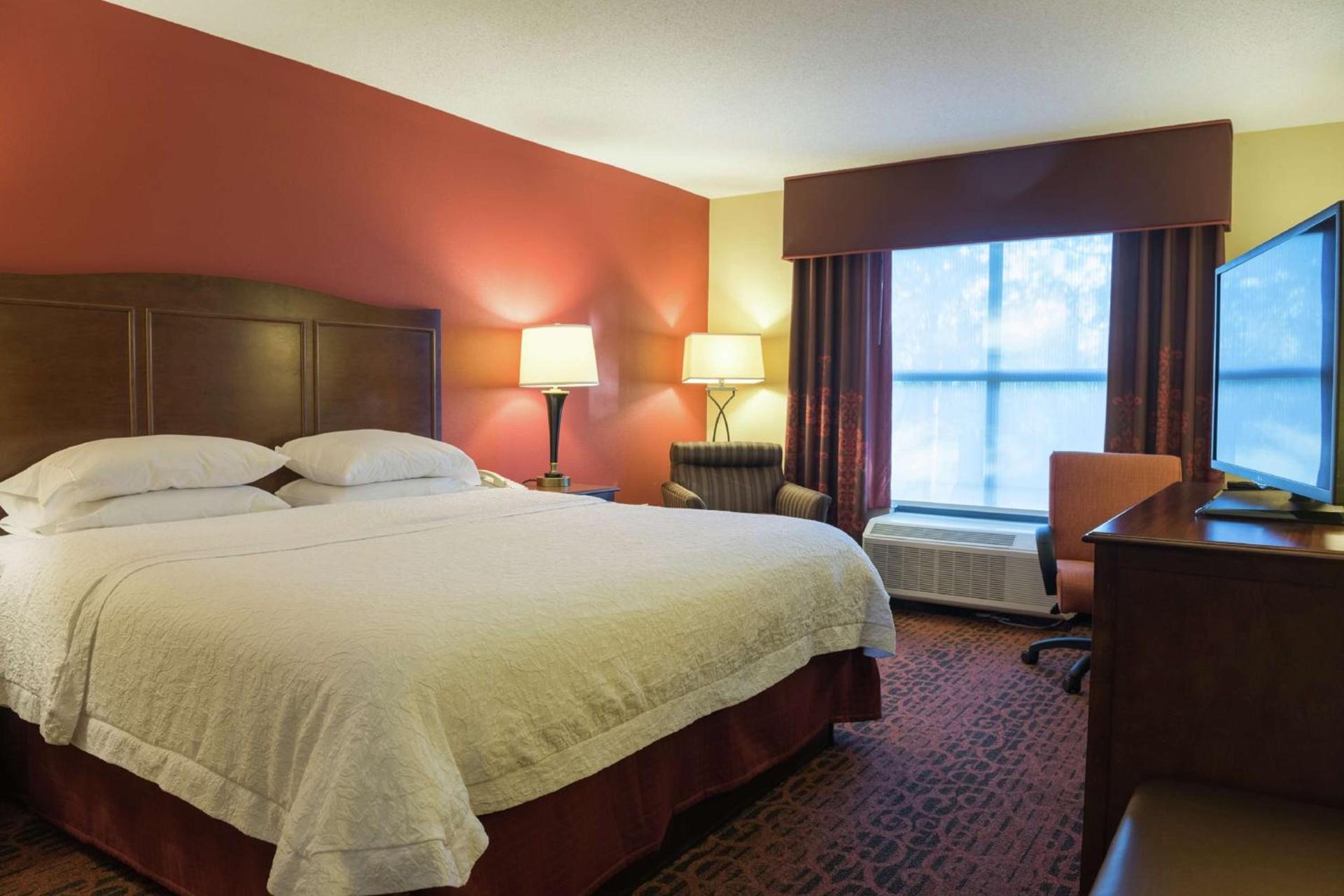 Hampton Inn & Suites Tampa-North photo 18