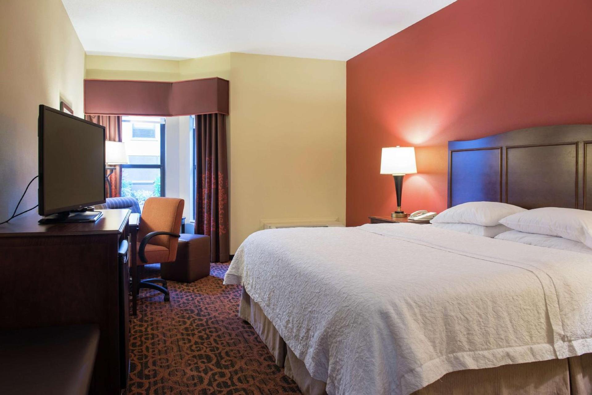 Hampton Inn & Suites Tampa-North photo 4