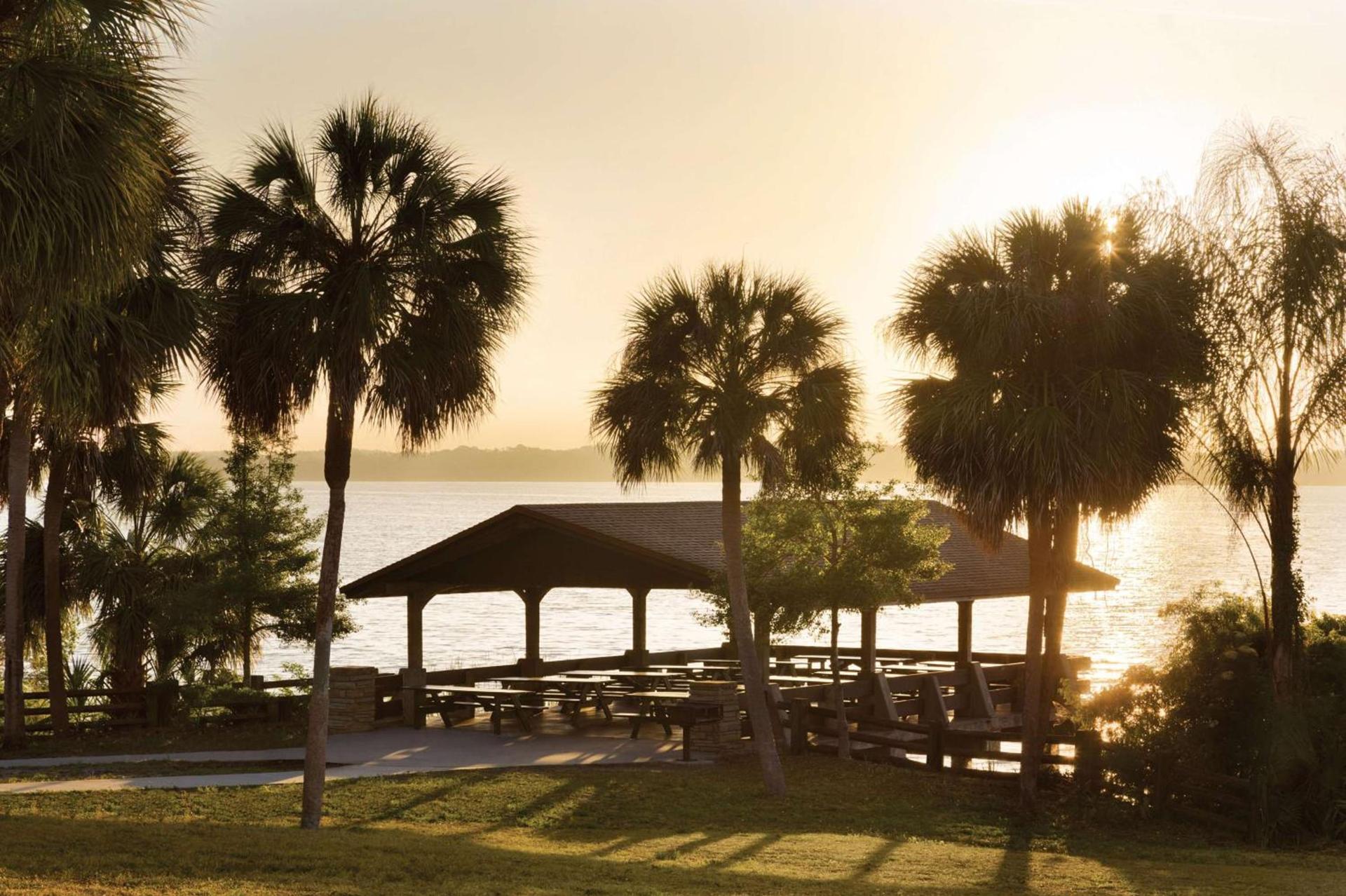 Hampton Inn & Suites Tarpon Springs photo 4
